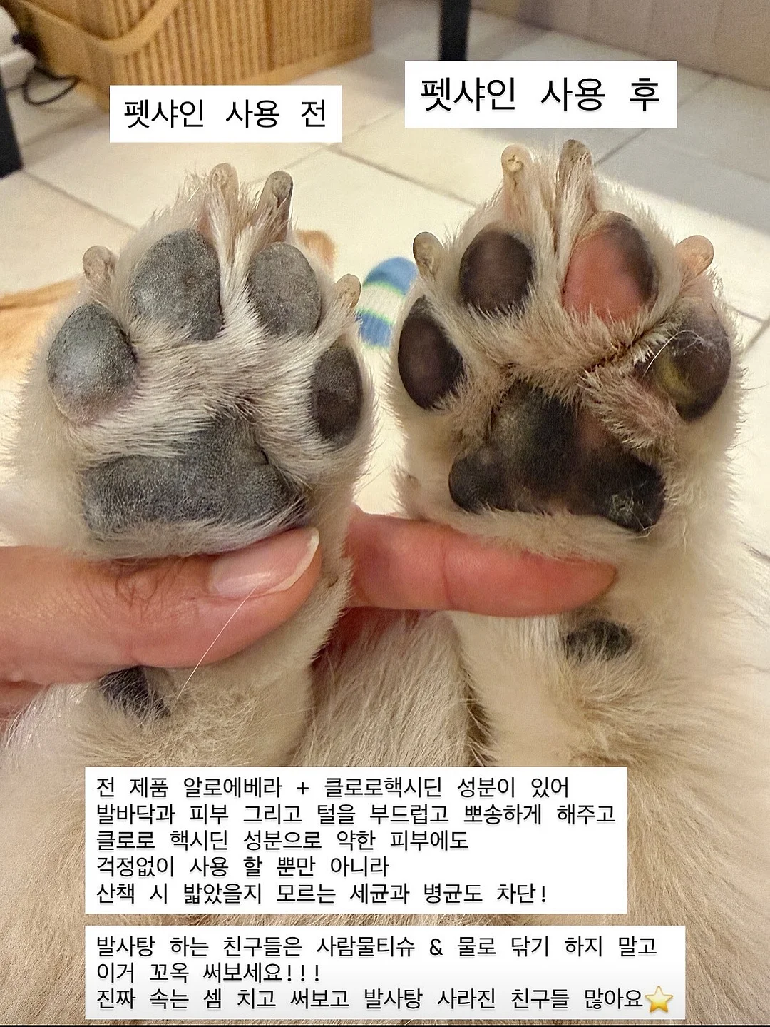 카고 스타일 스커트 3