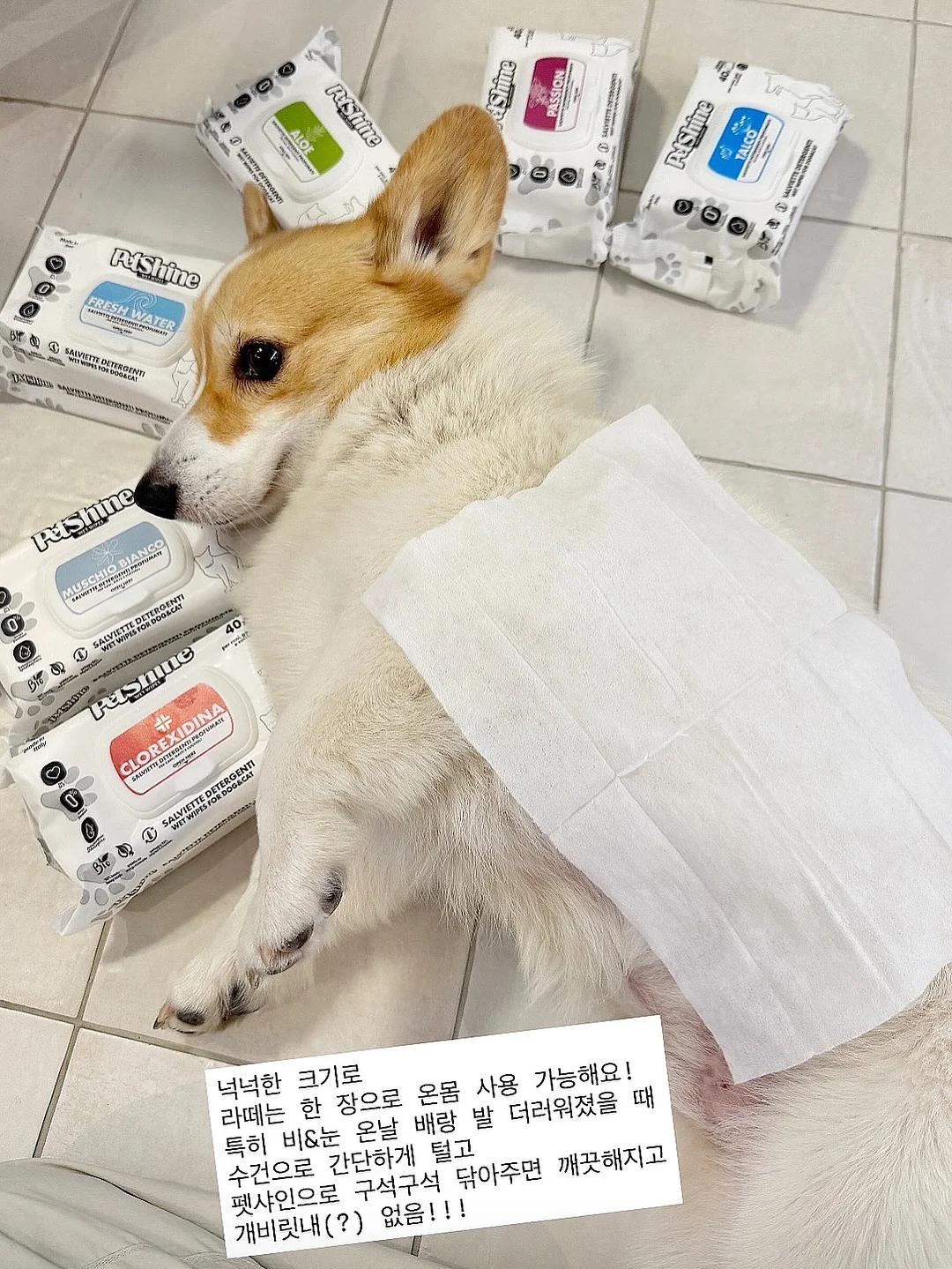 카고 스타일 스커트 4