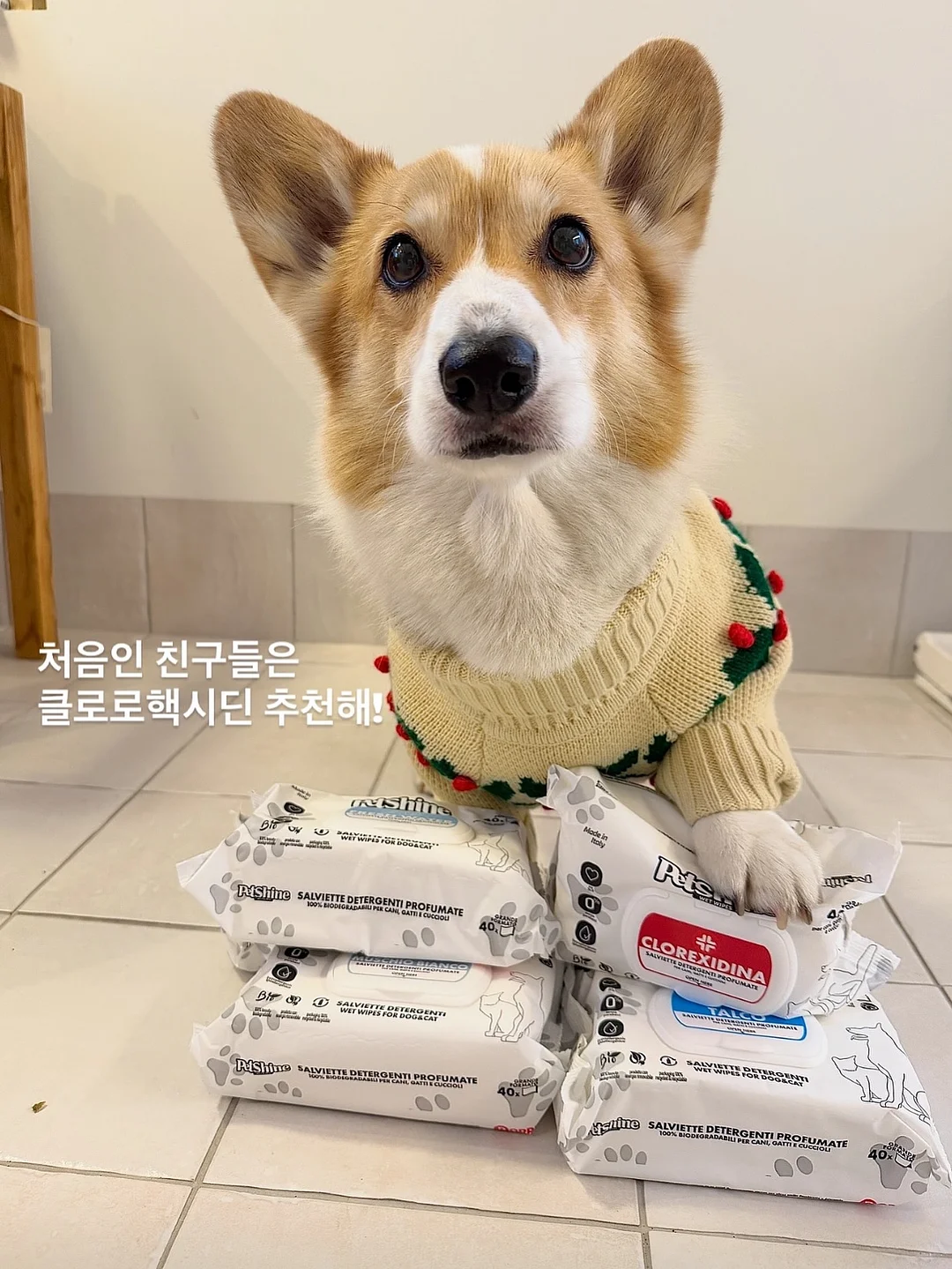 카고 스타일 스커트 5