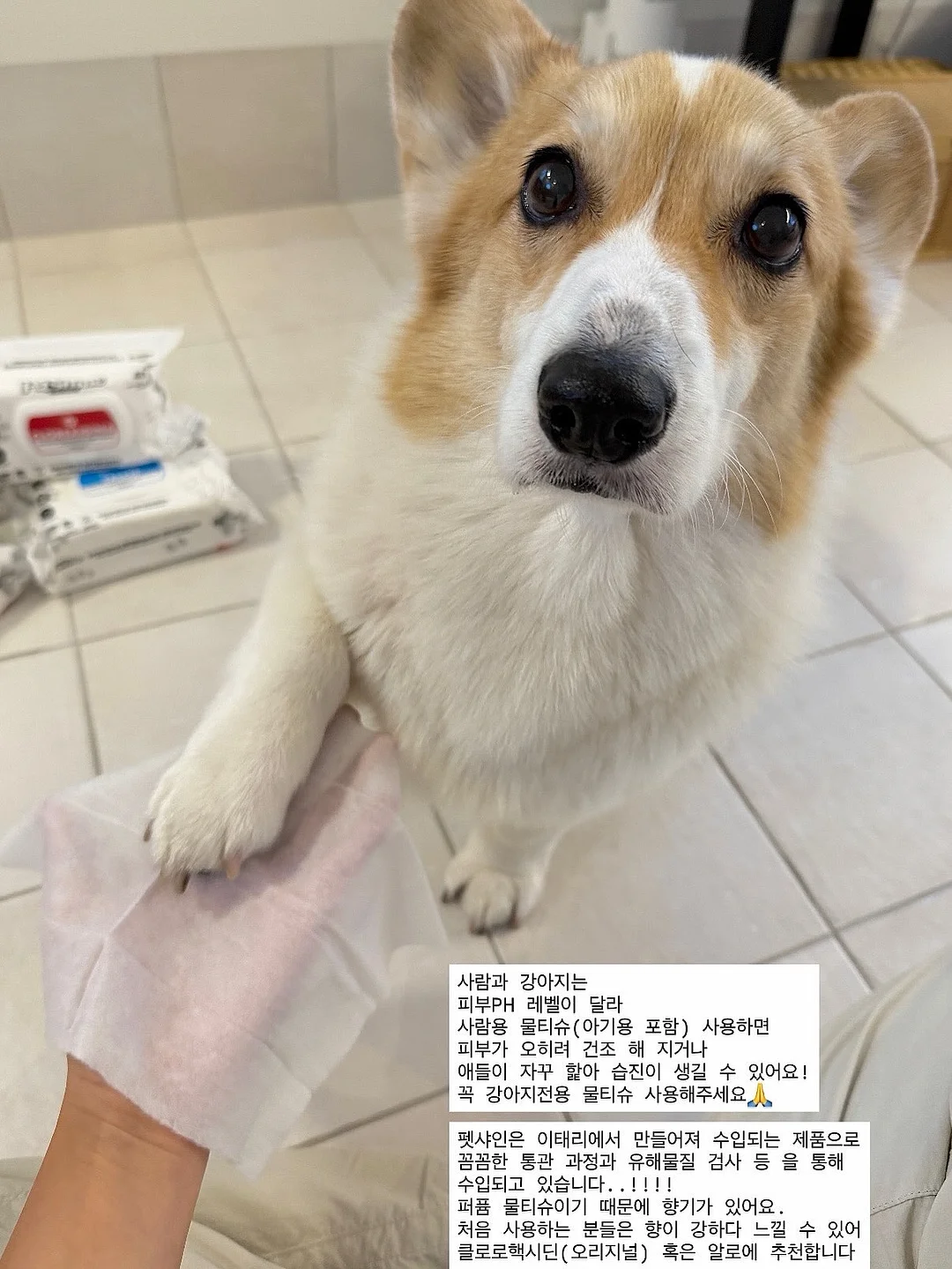 카고 스타일 스커트 7