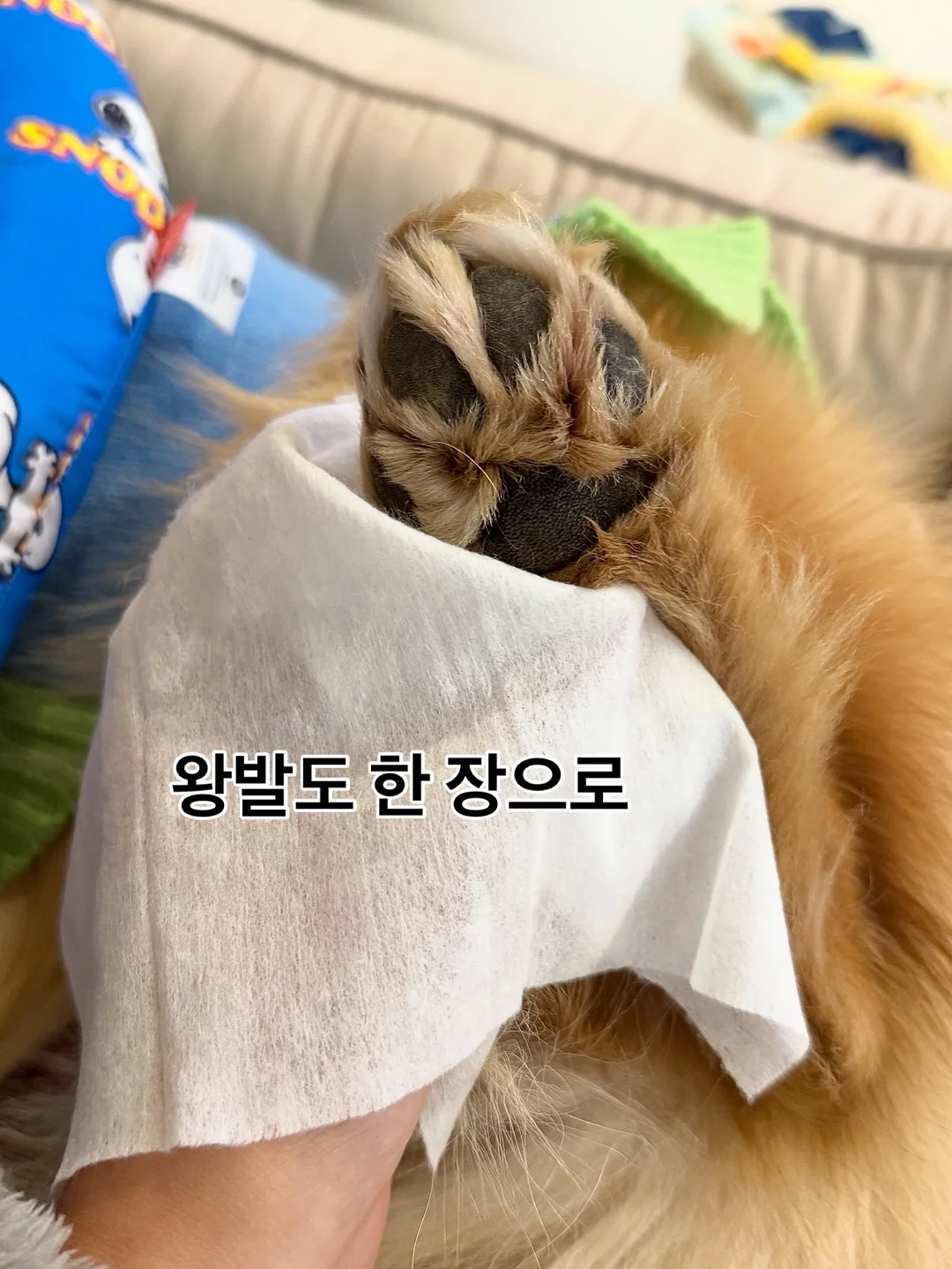 카고 스타일 스커트 8