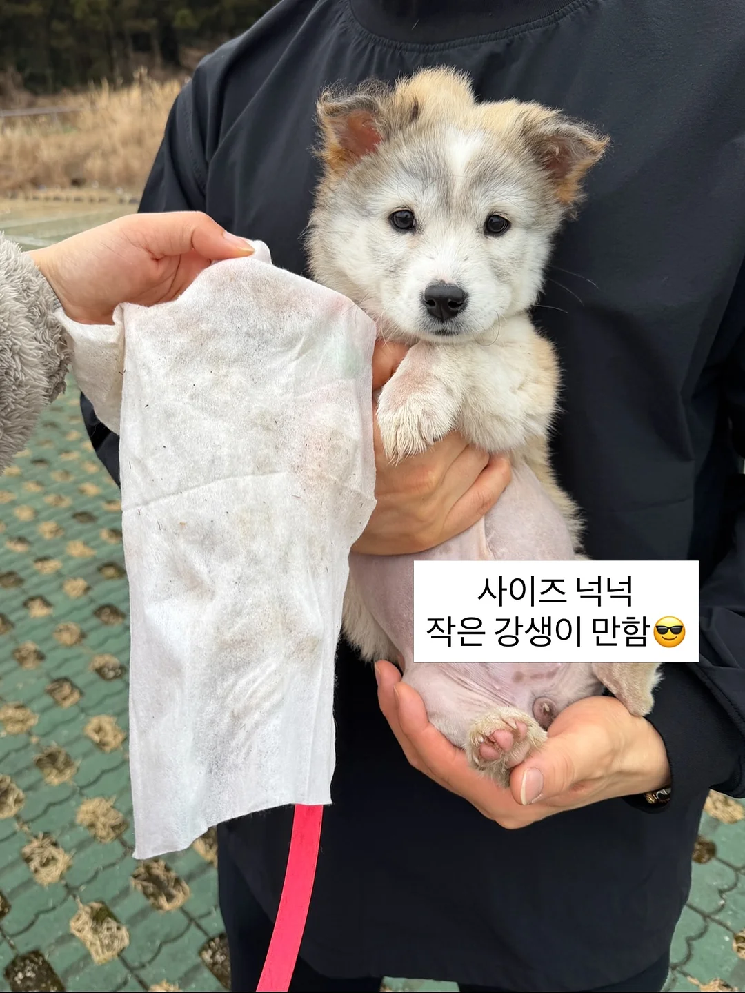 카고 스타일 스커트 10