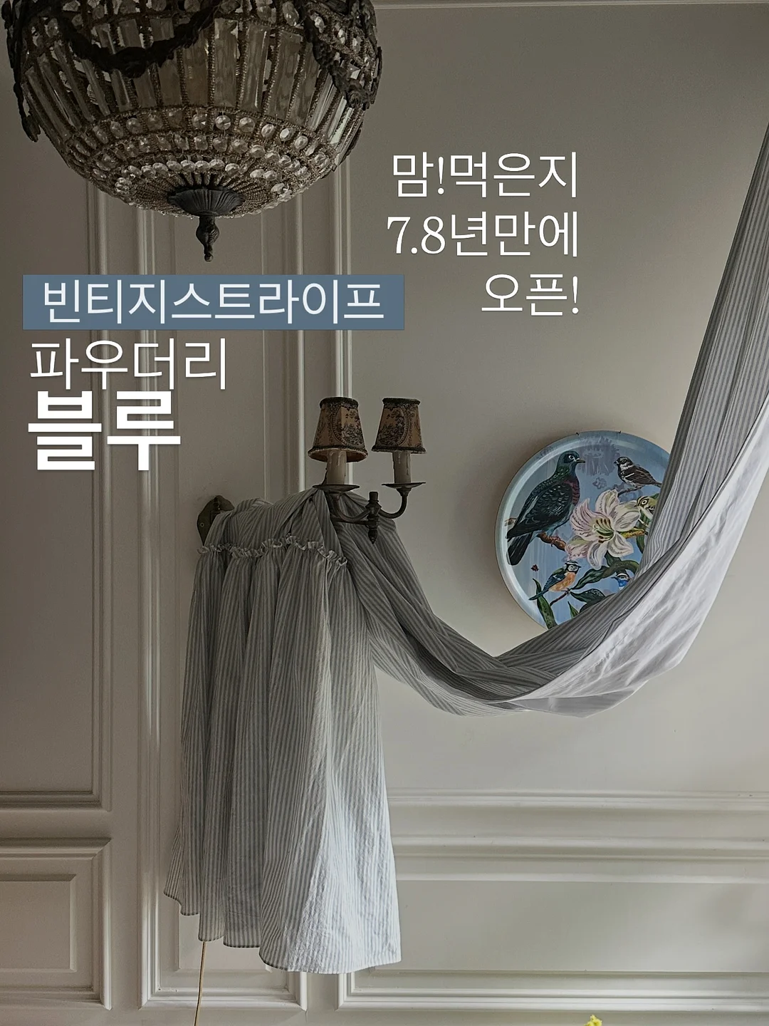 솜사탕 메론 1
