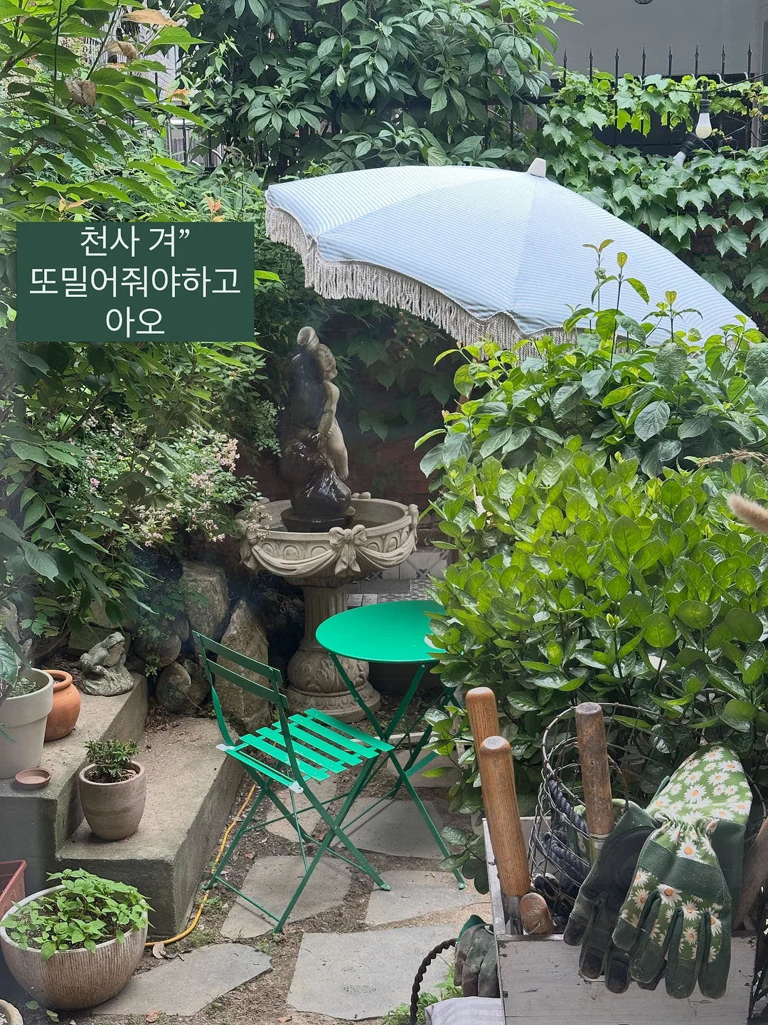 솜사탕 메론 8