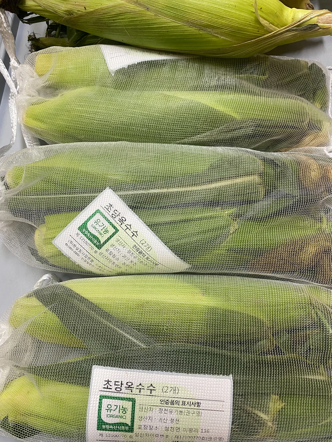 강아지 침대 6