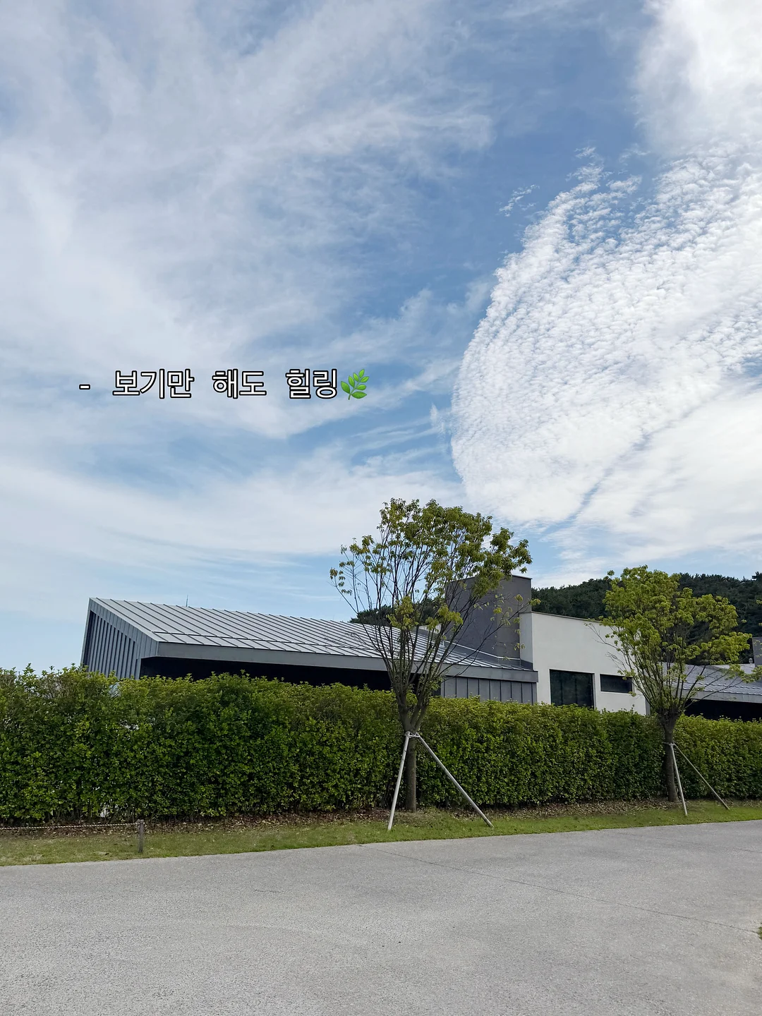신발 전용 클리너 9
