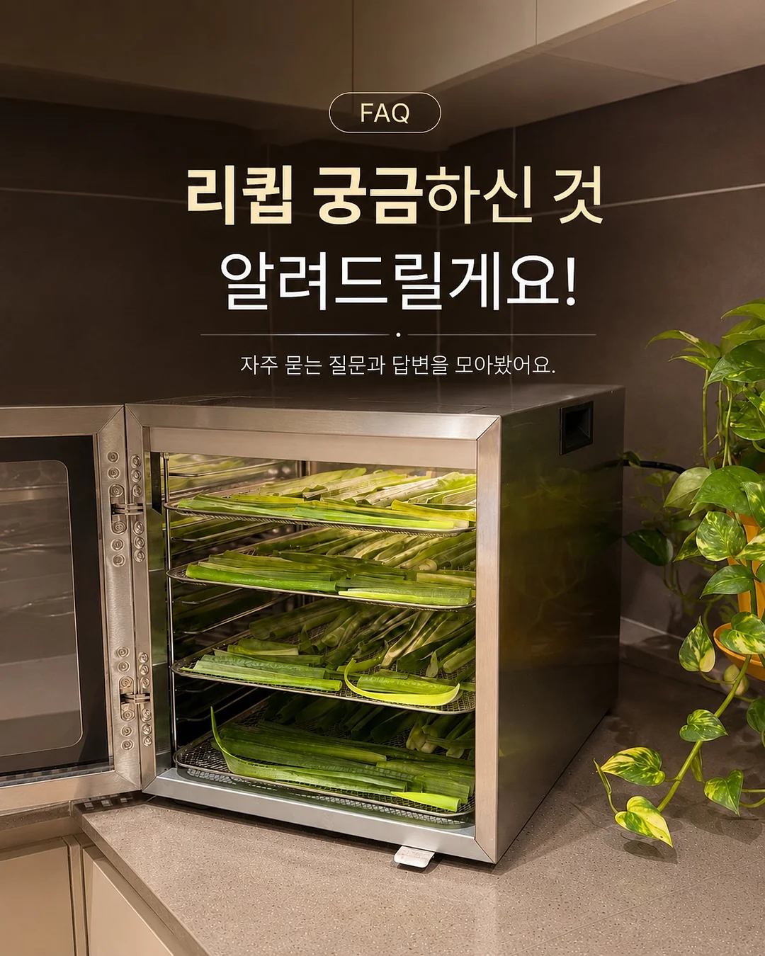 버버리 스커트 1