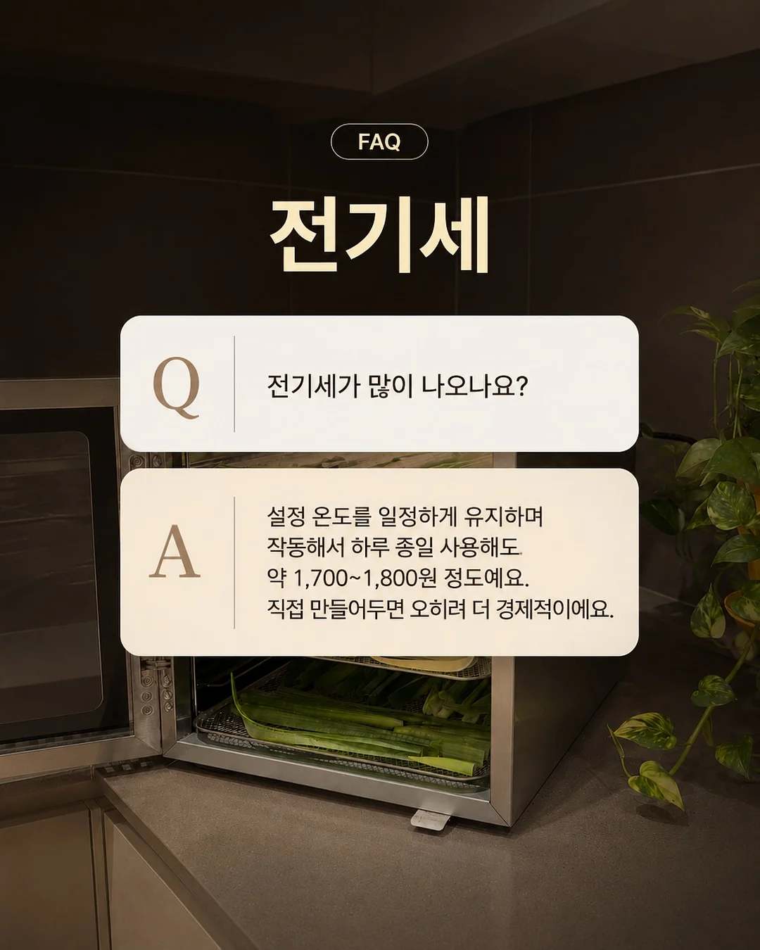 버버리 스커트 12