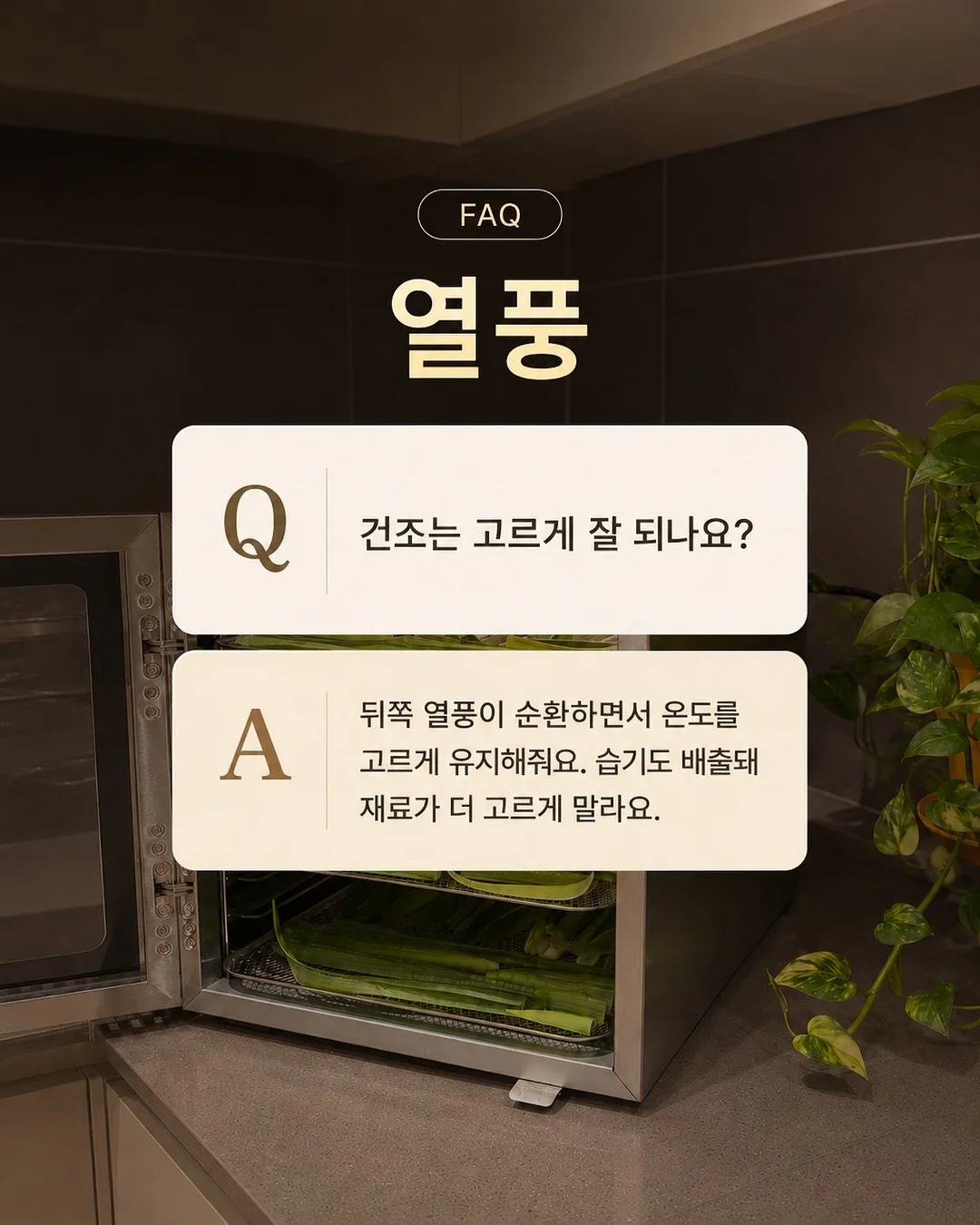 버버리 스커트 13