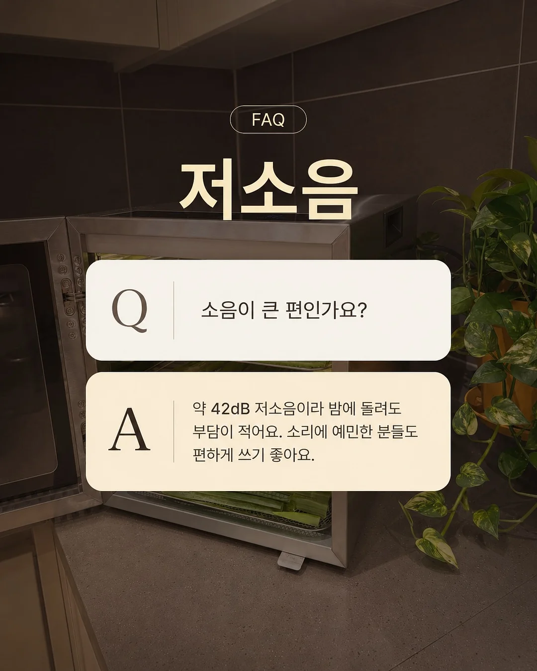 버버리 스커트 14