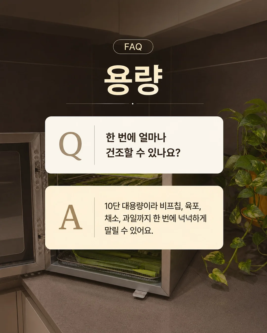 버버리 스커트 15