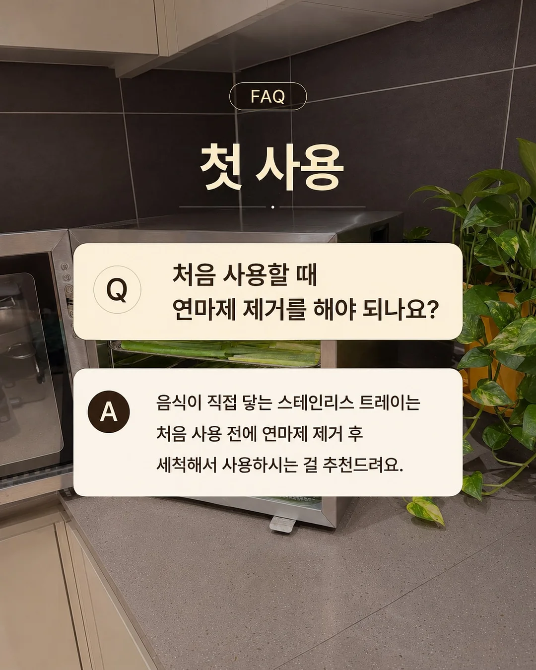 버버리 스커트 2
