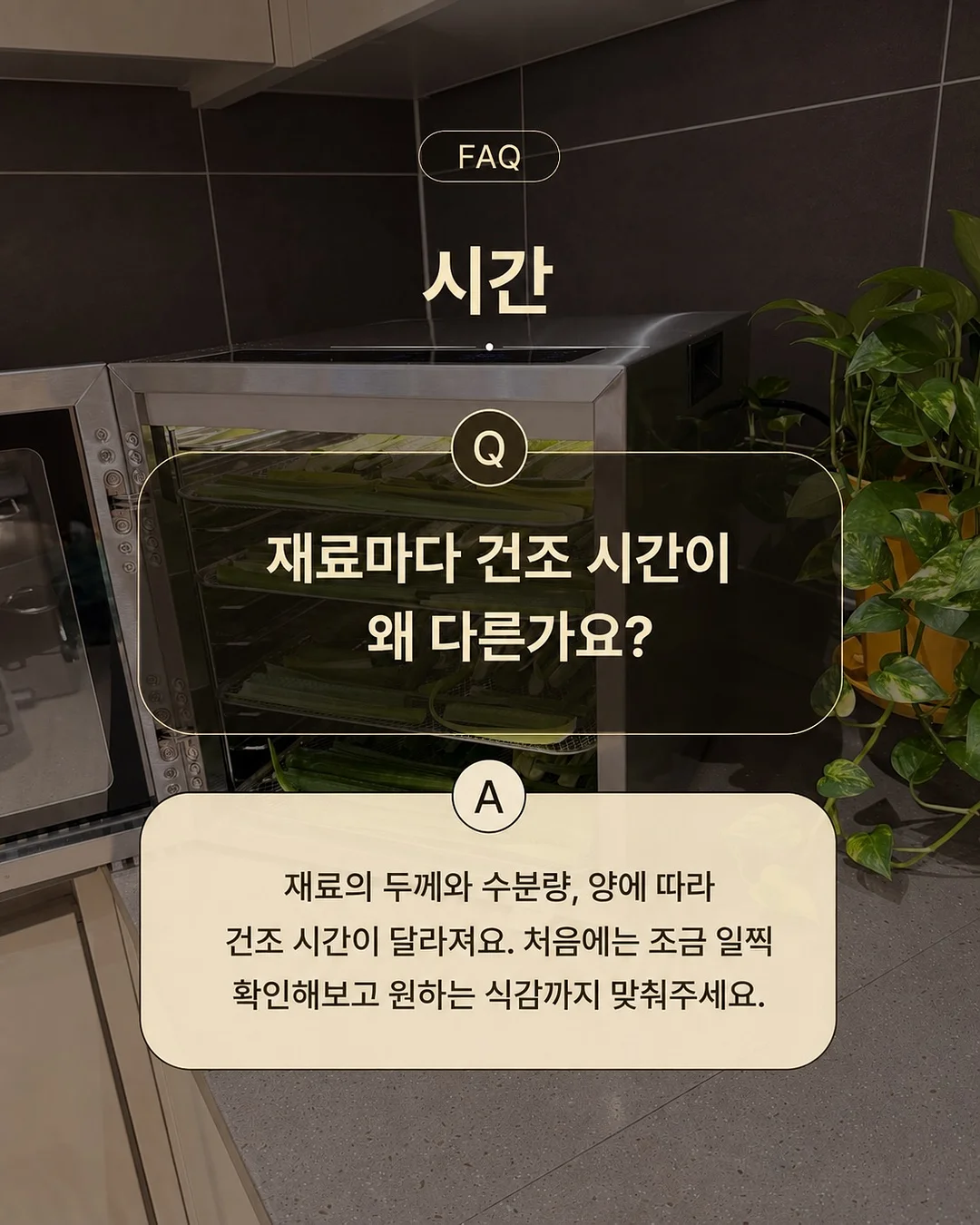 버버리 스커트 3