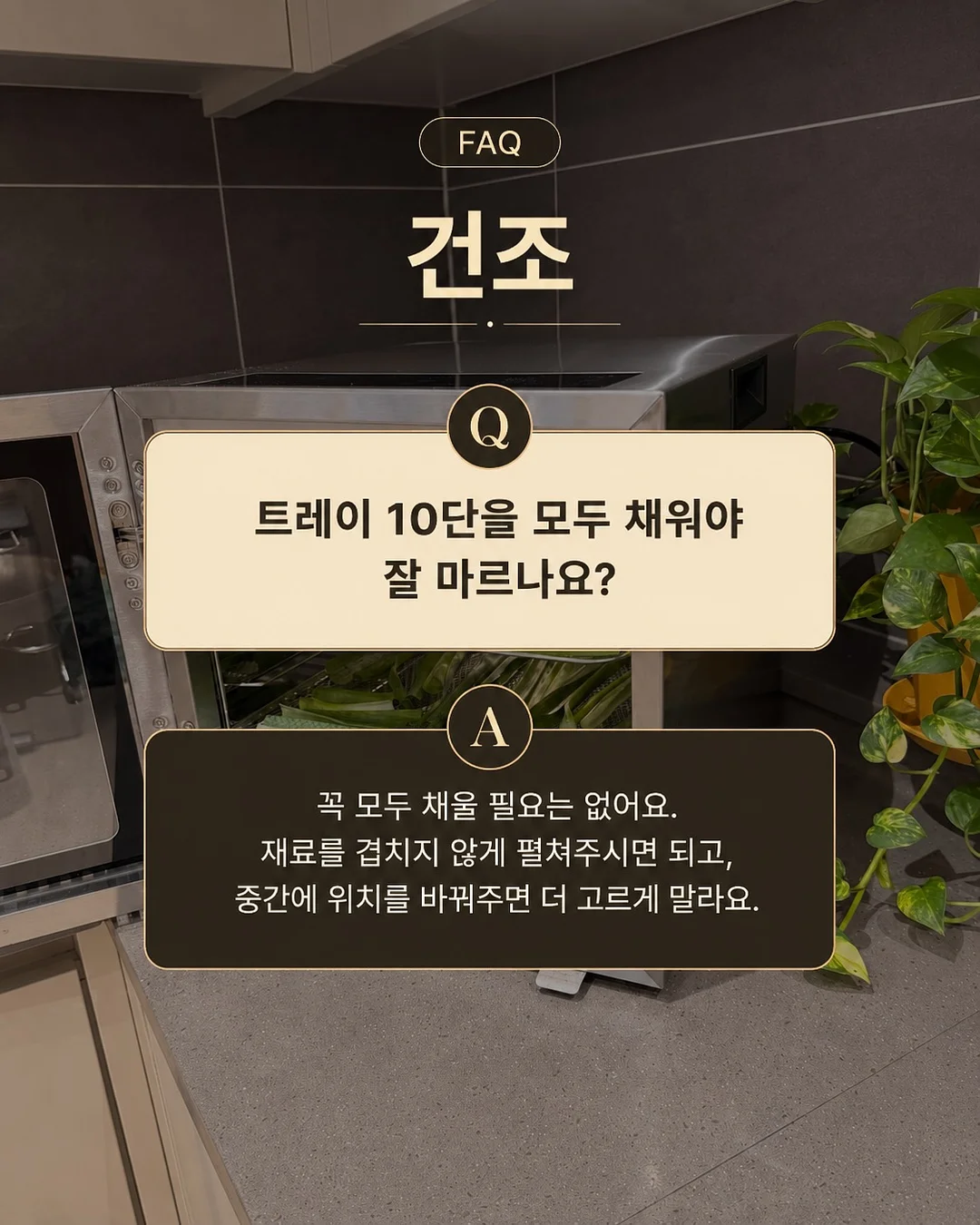버버리 스커트 4