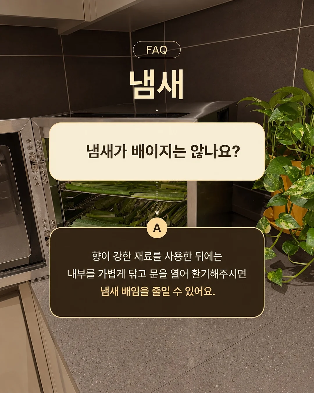 버버리 스커트 5