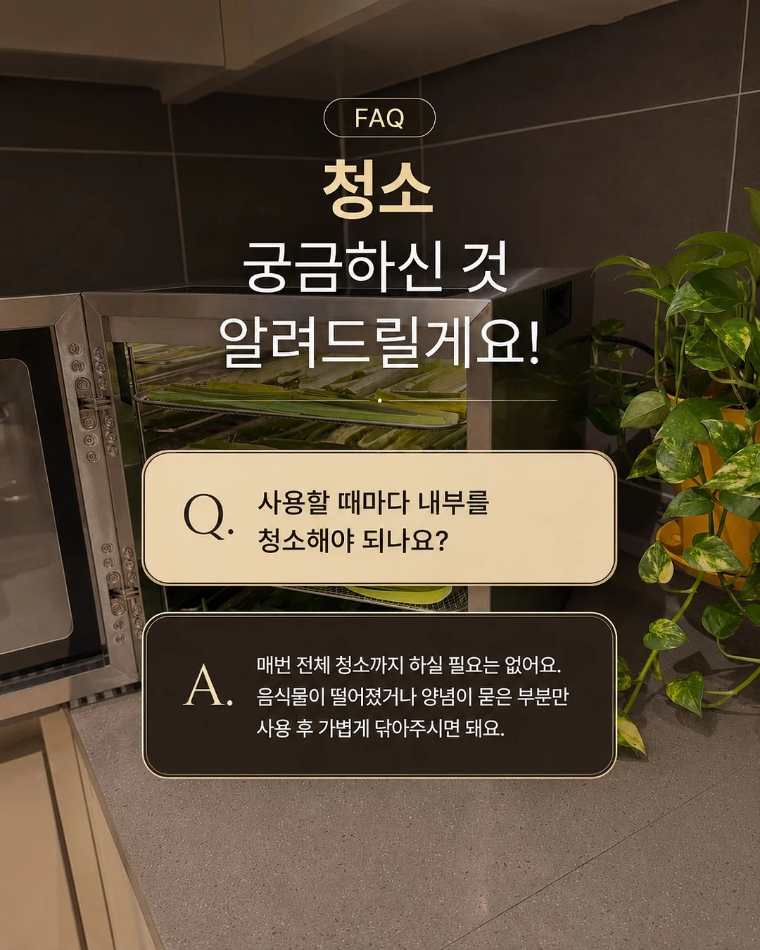 버버리 스커트 6