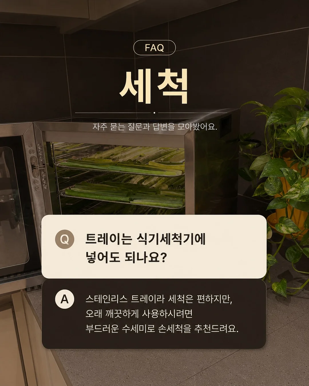 버버리 스커트 7