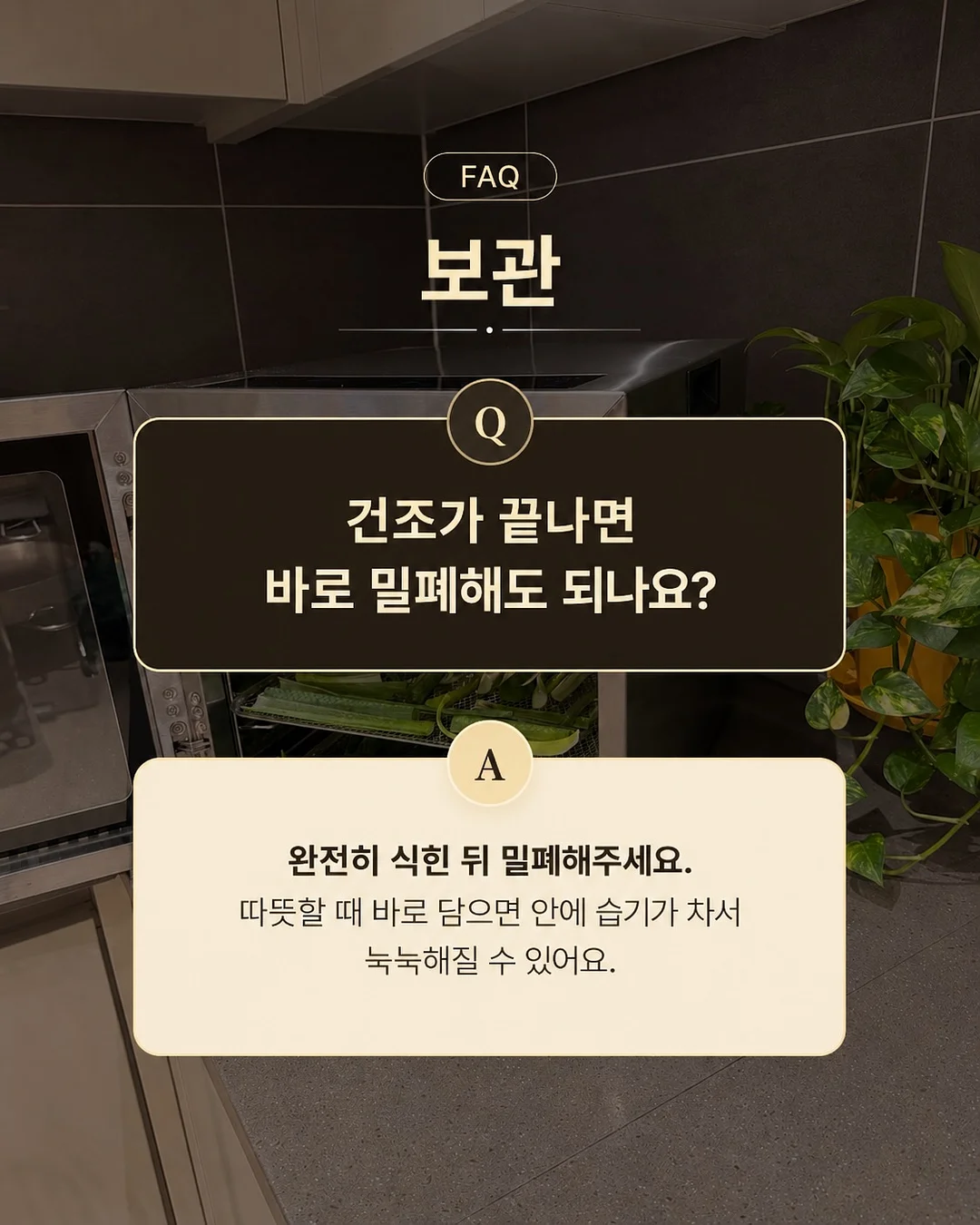 버버리 스커트 8