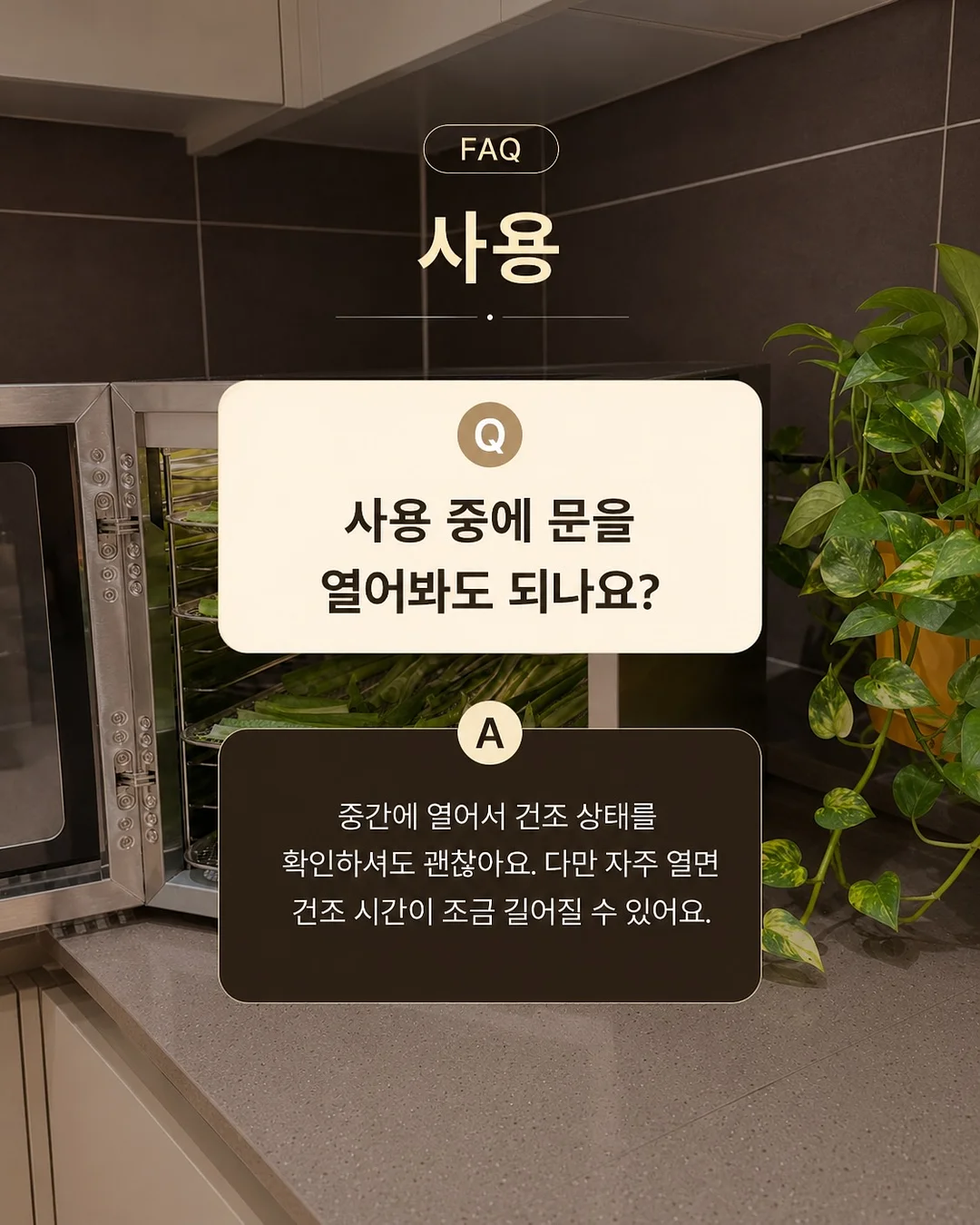 버버리 스커트 10
