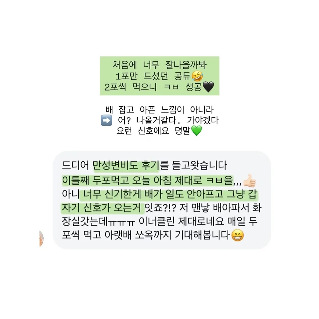루비산사 분재 12