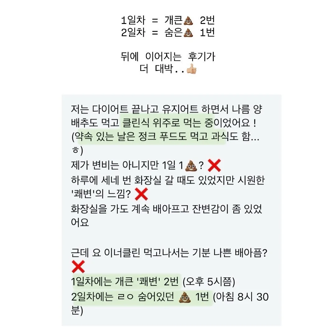 루비산사 분재 13