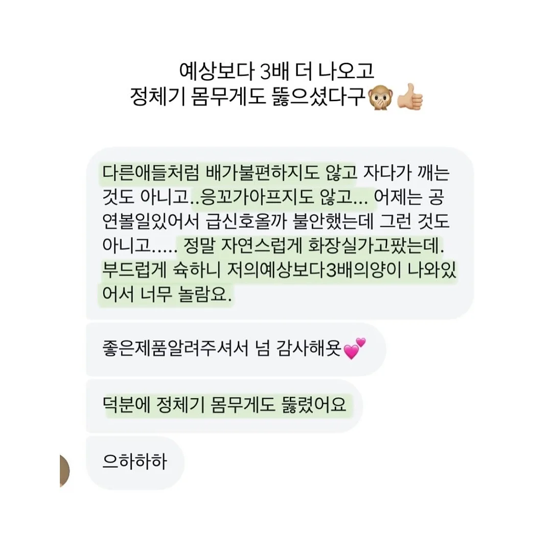 루비산사 분재 15