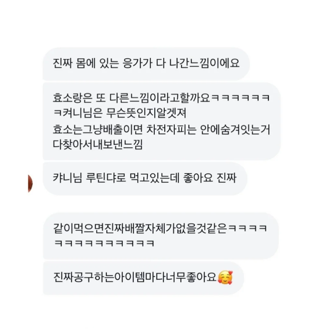 루비산사 분재 19