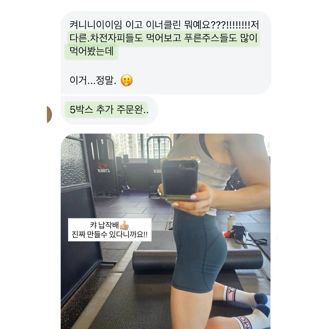 루비산사 분재 2