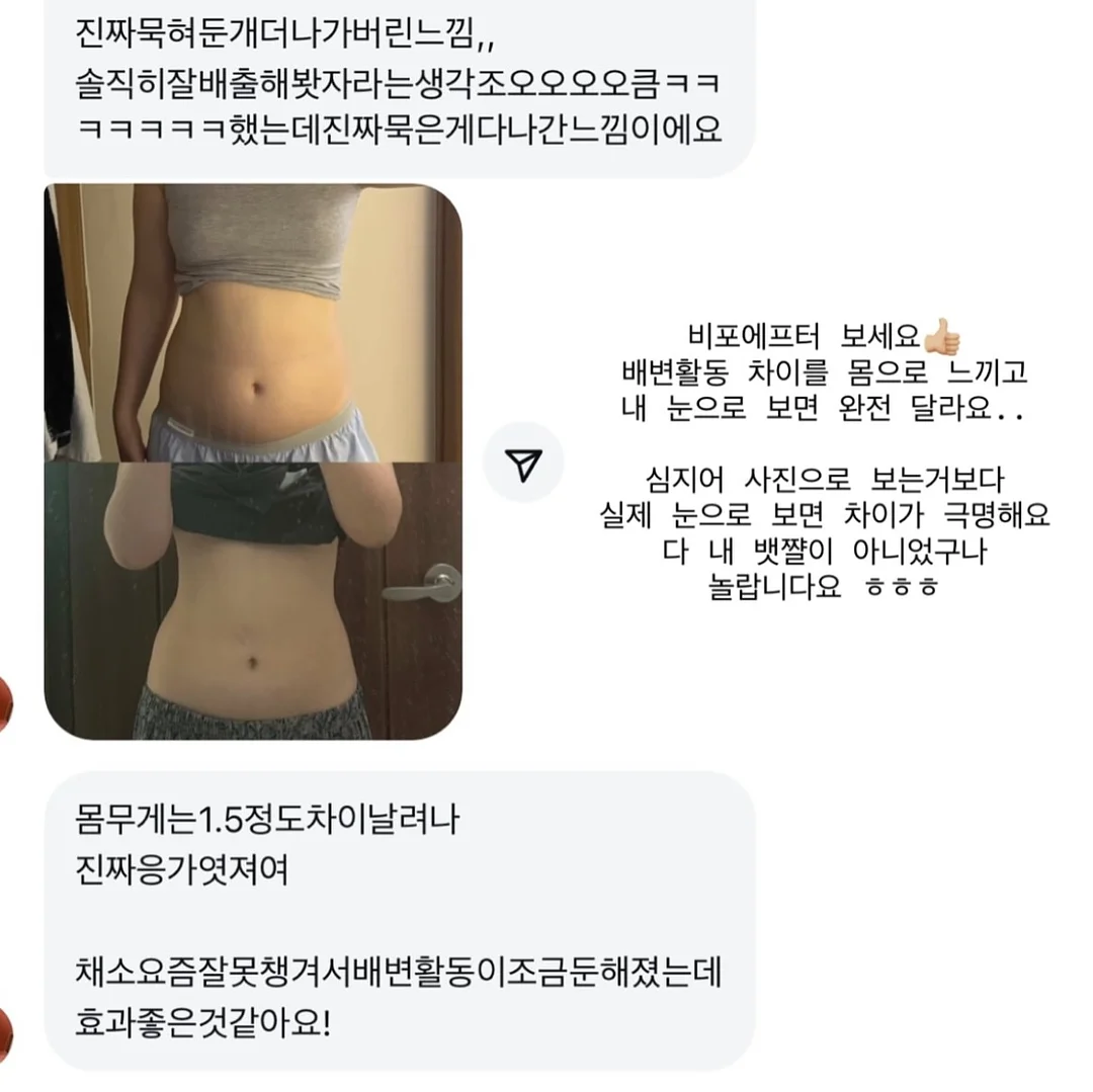 루비산사 분재 4