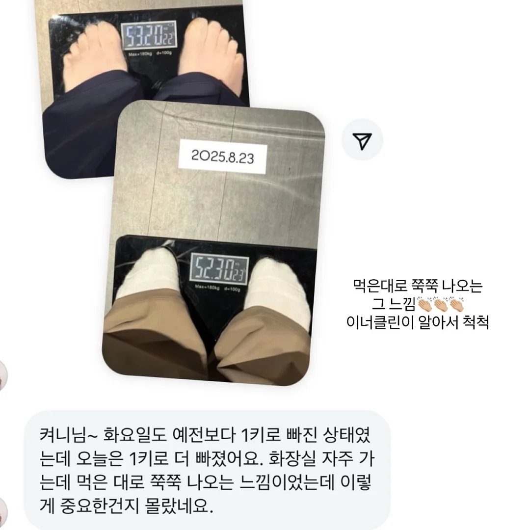 루비산사 분재 5