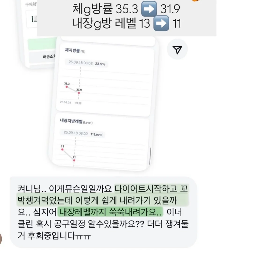 루비산사 분재 8