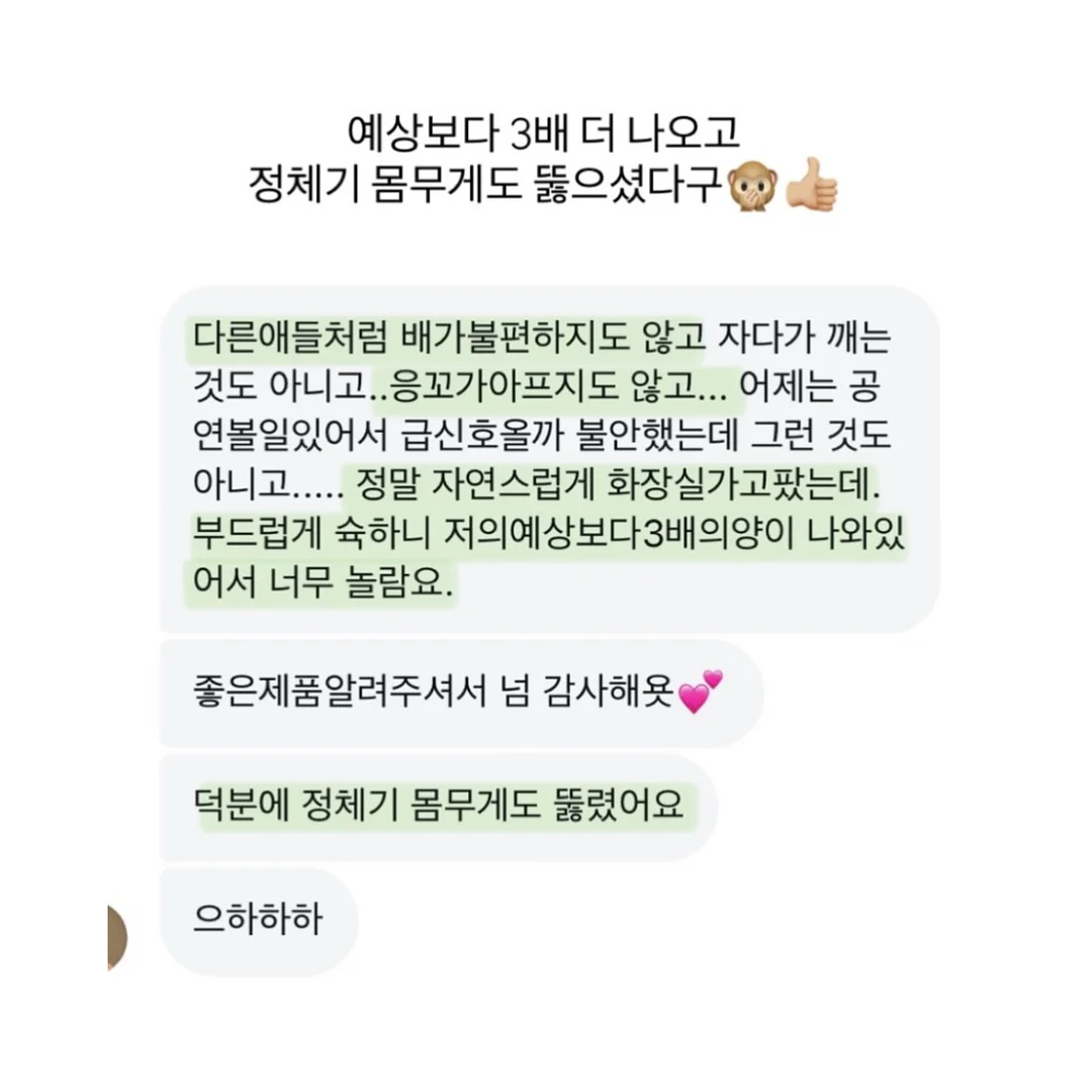 루비산사 분재 10