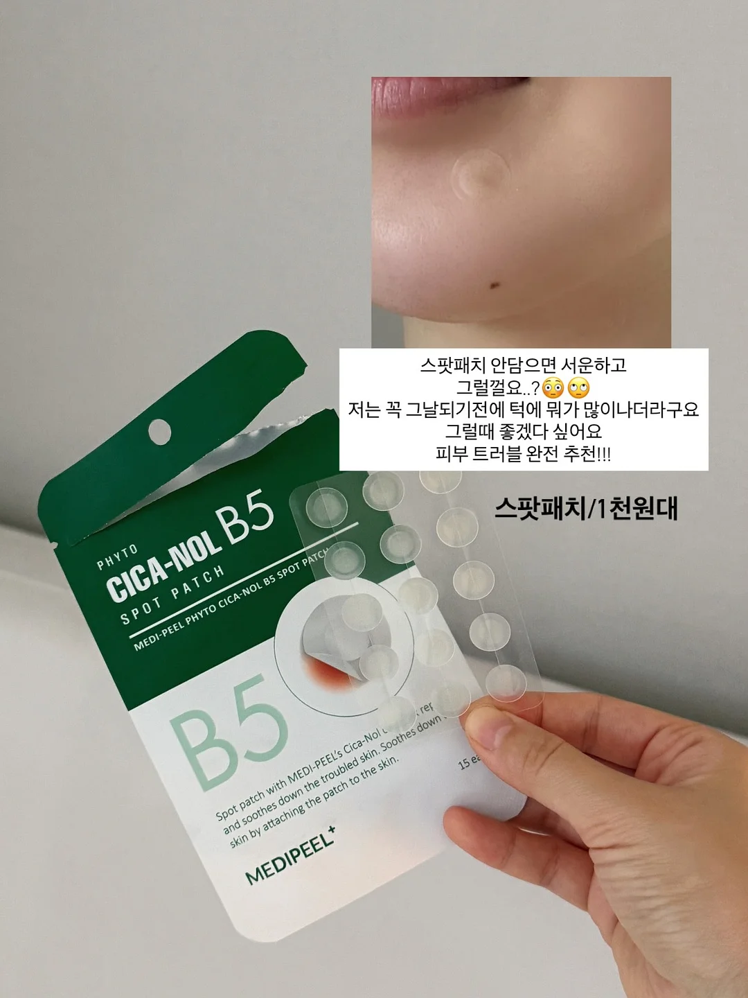나일론팬츠 12