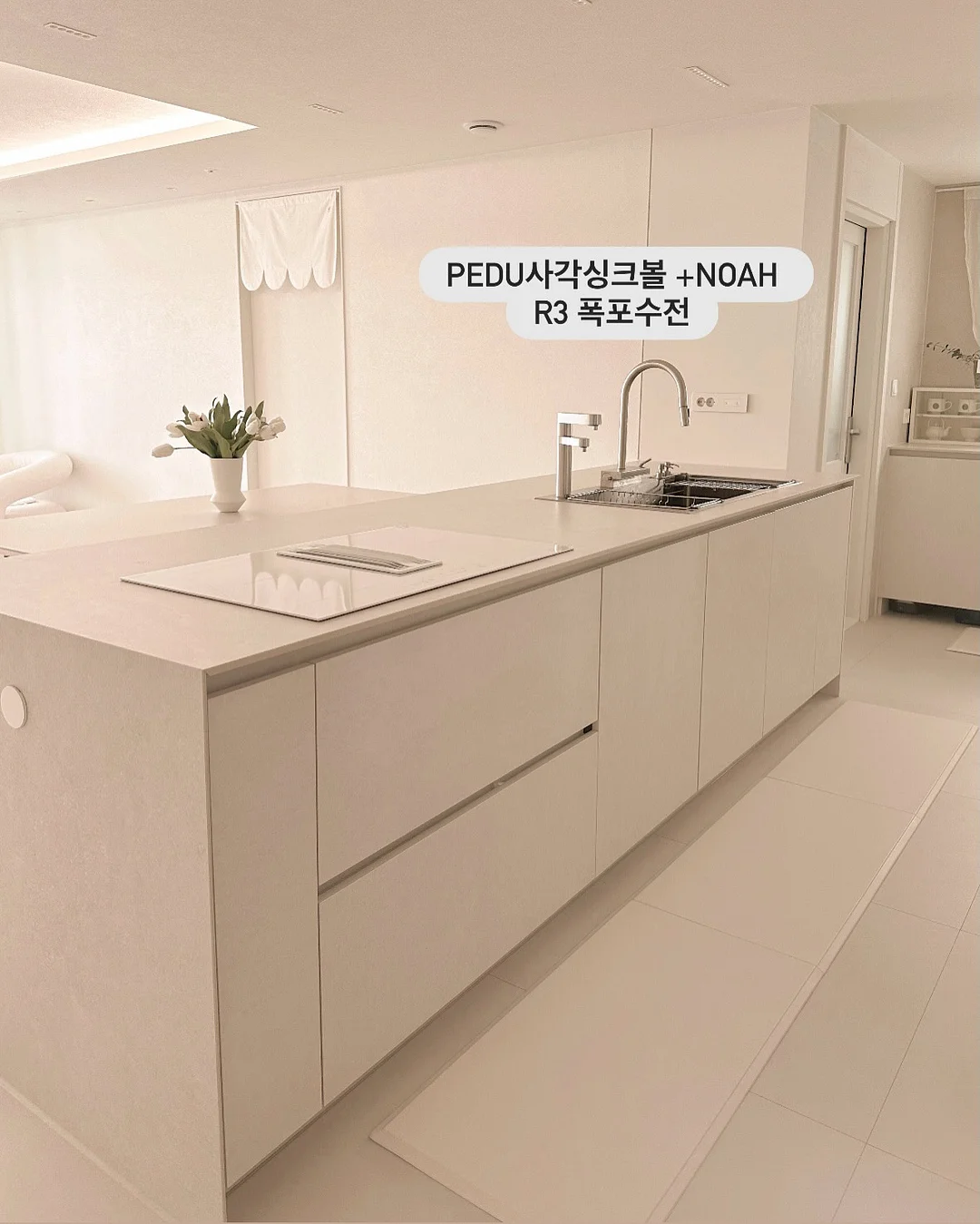 해독주스 2