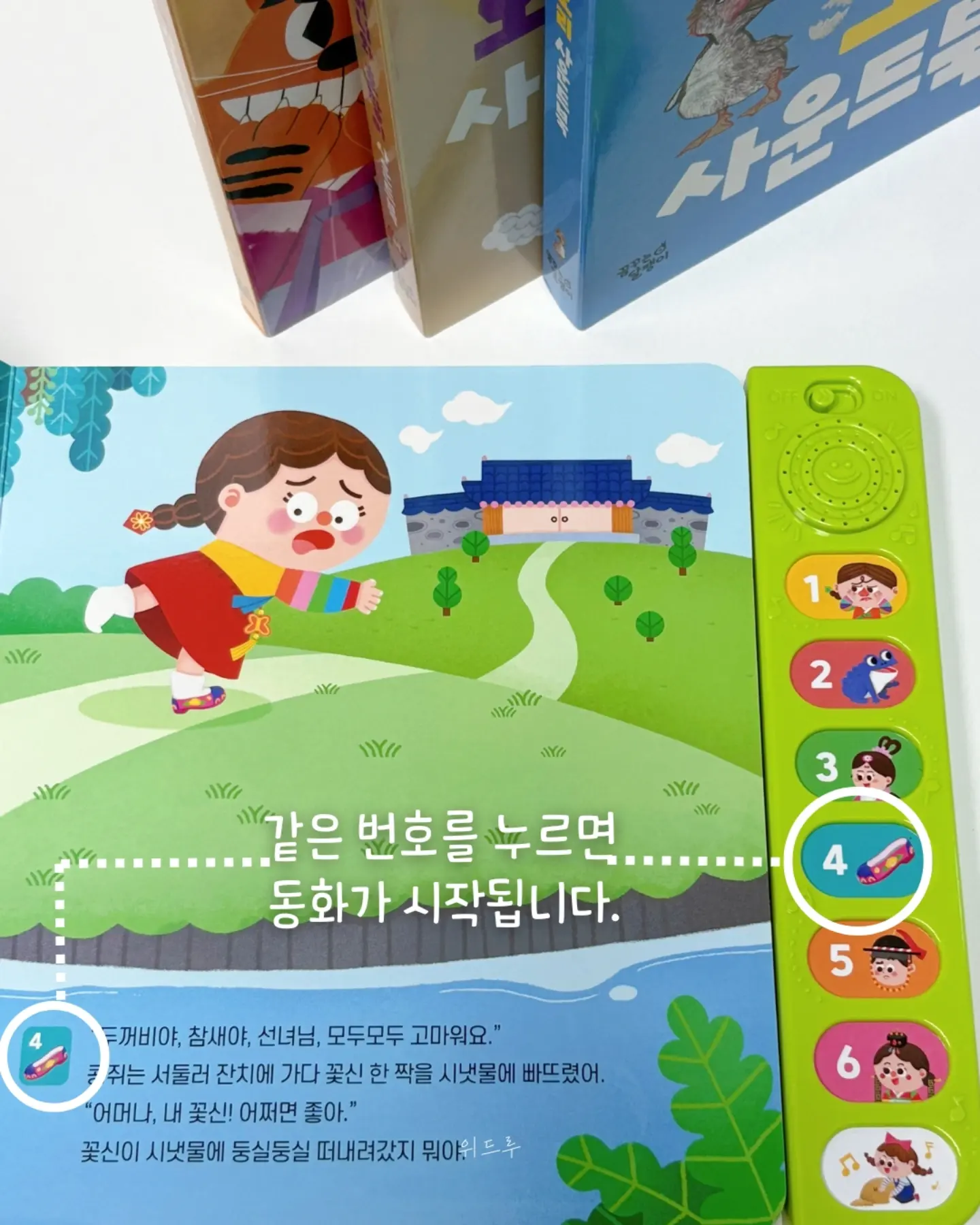 블루수국, 퀸로즈 11