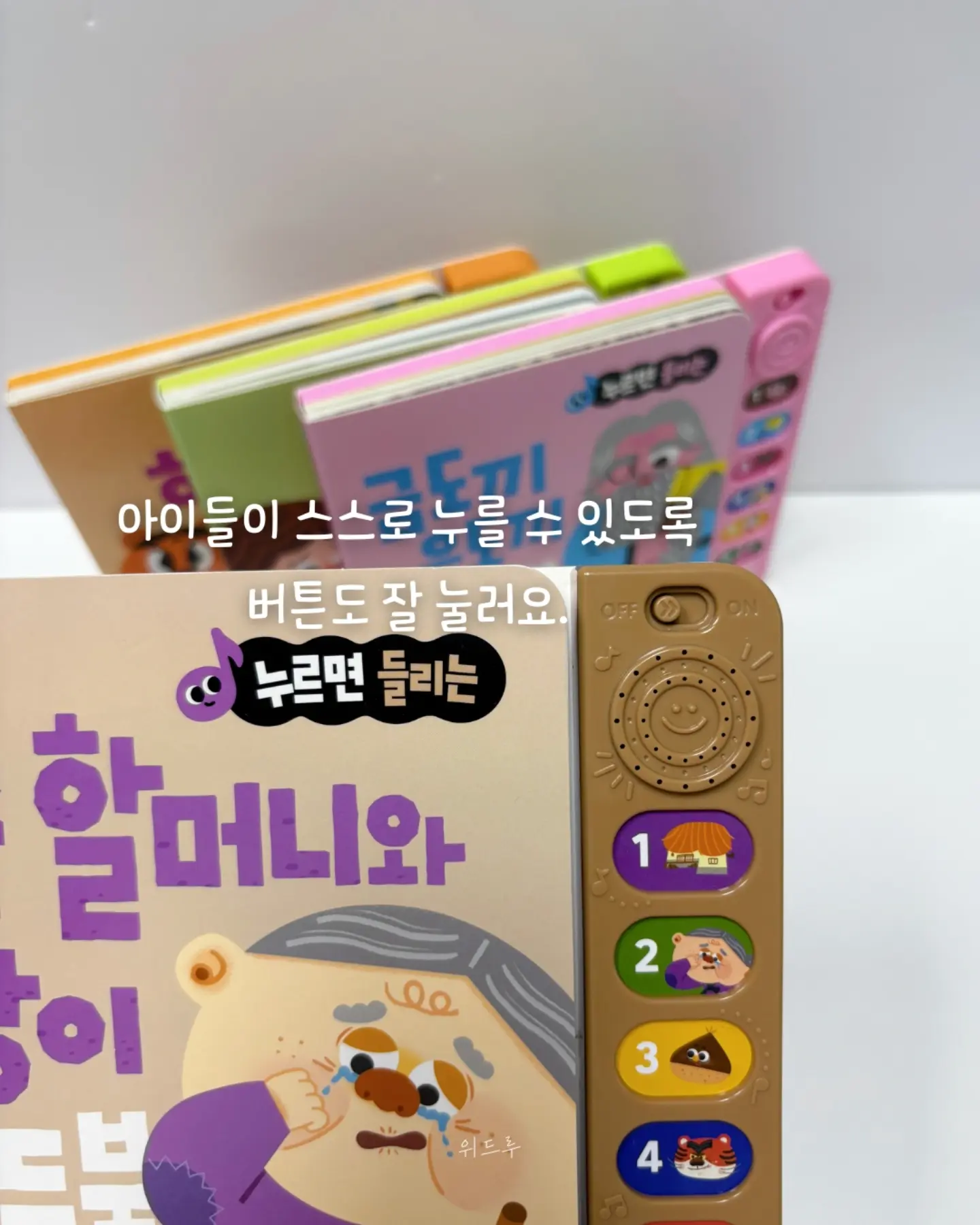 블루수국, 퀸로즈 13
