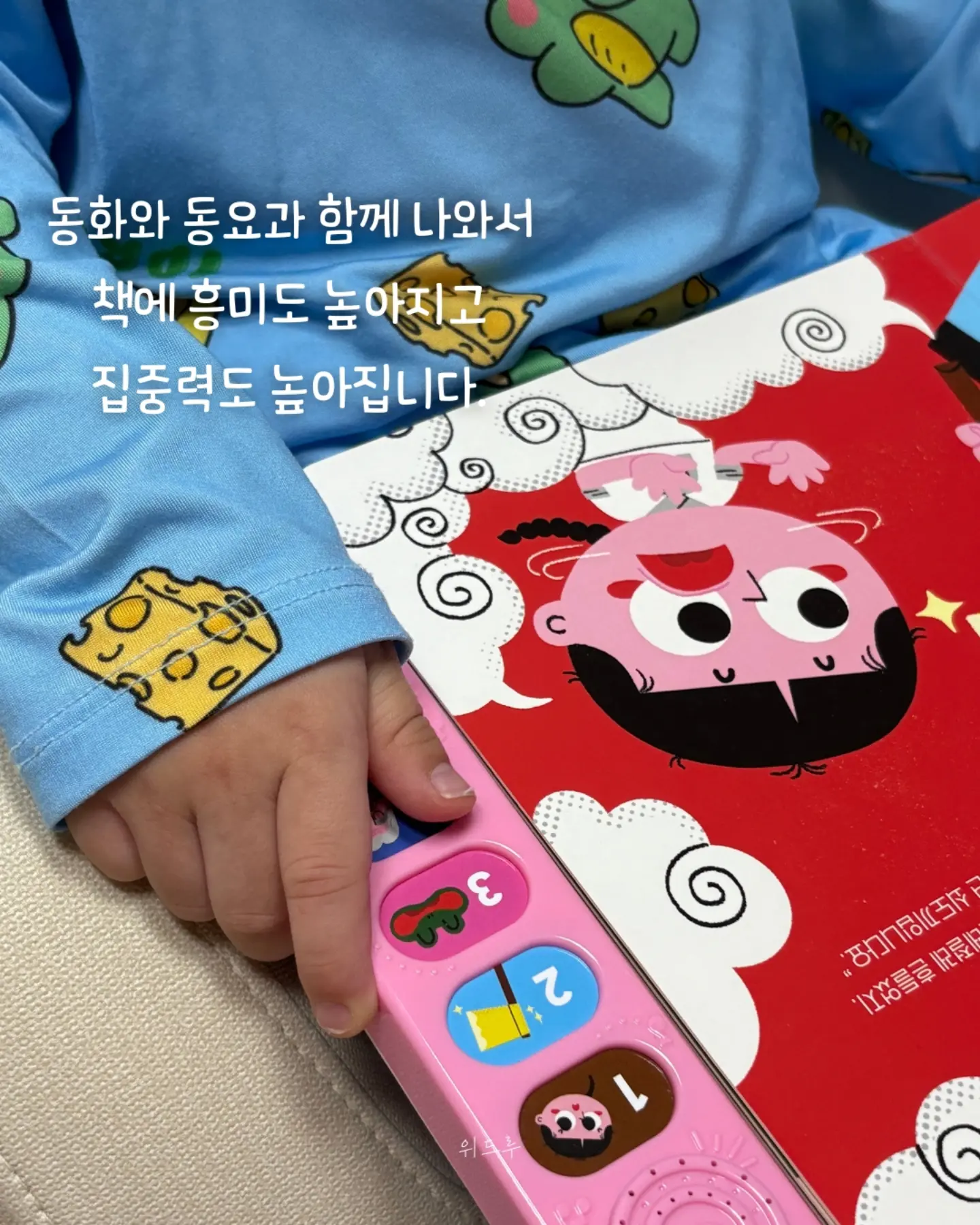 블루수국, 퀸로즈 14
