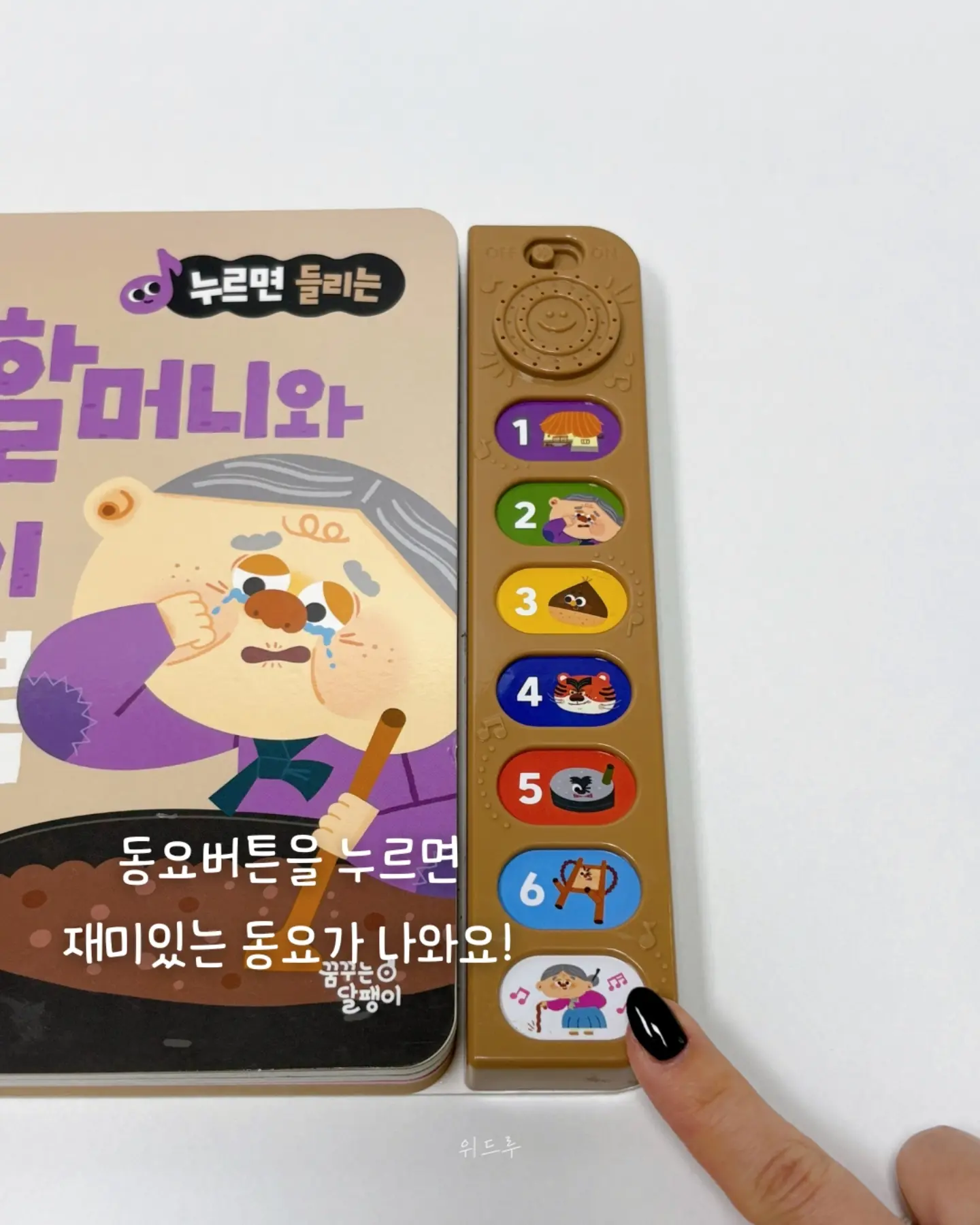 블루수국, 퀸로즈 16
