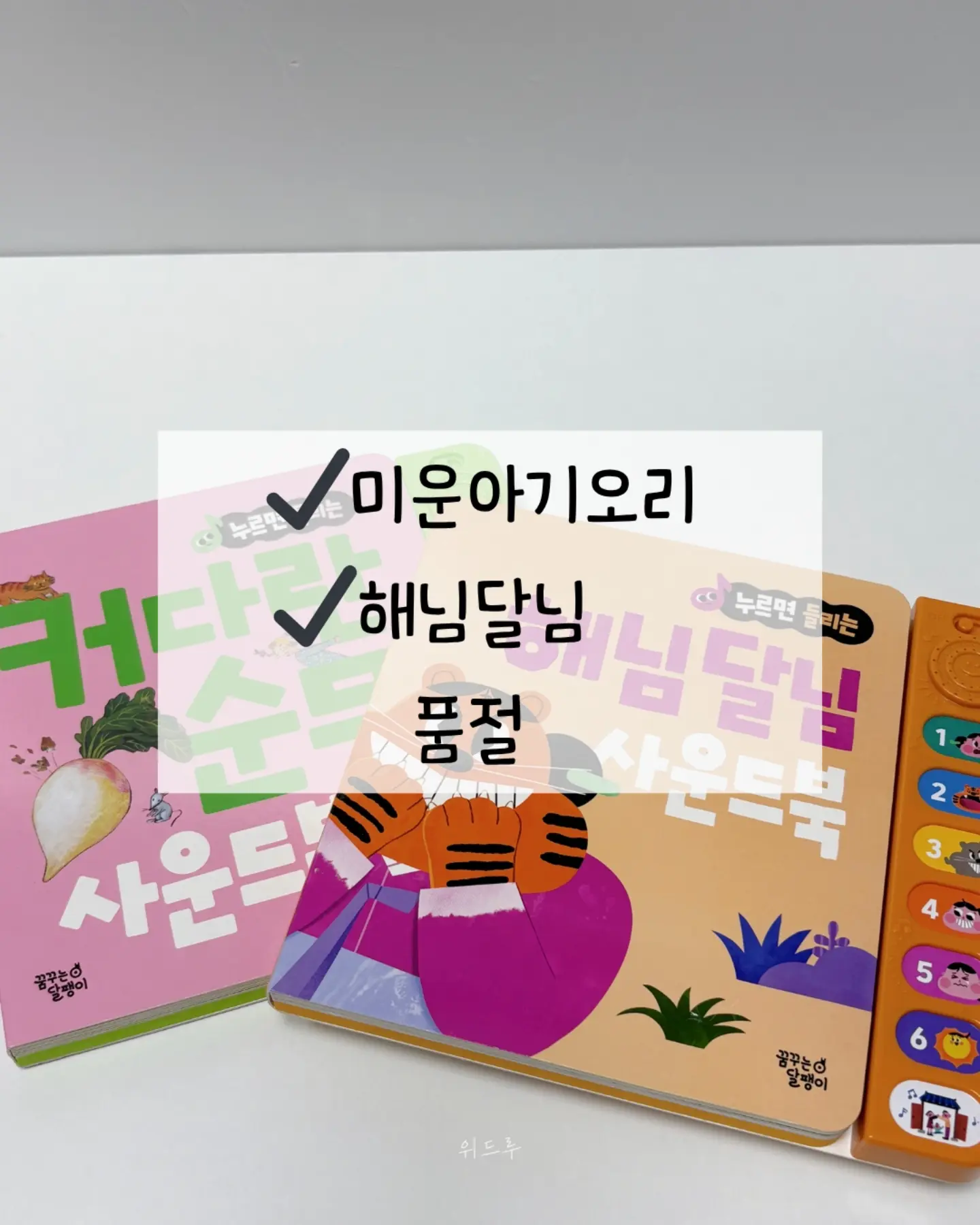 블루수국, 퀸로즈 19