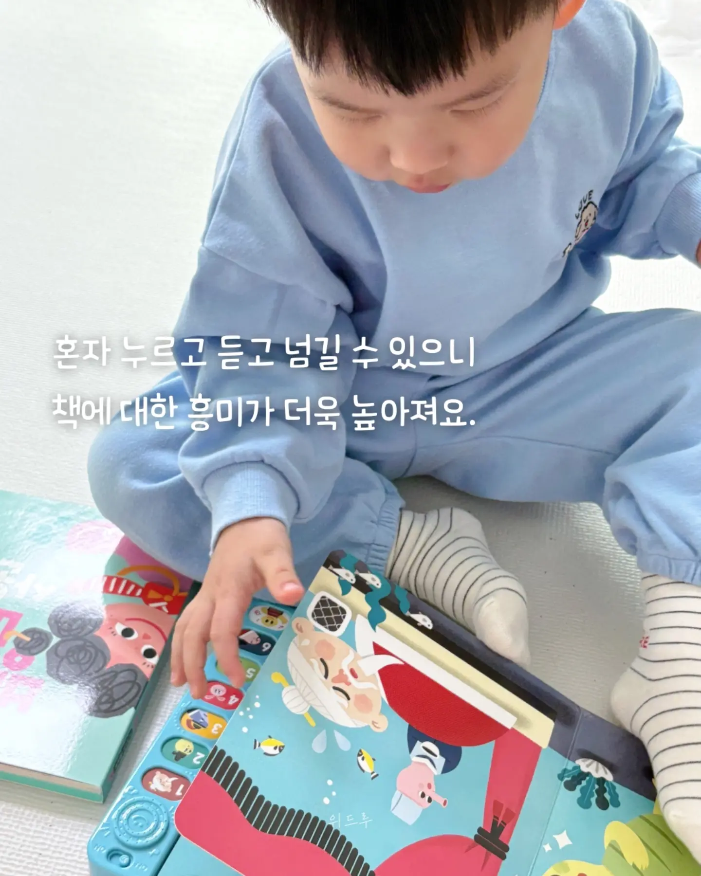 블루수국, 퀸로즈 7