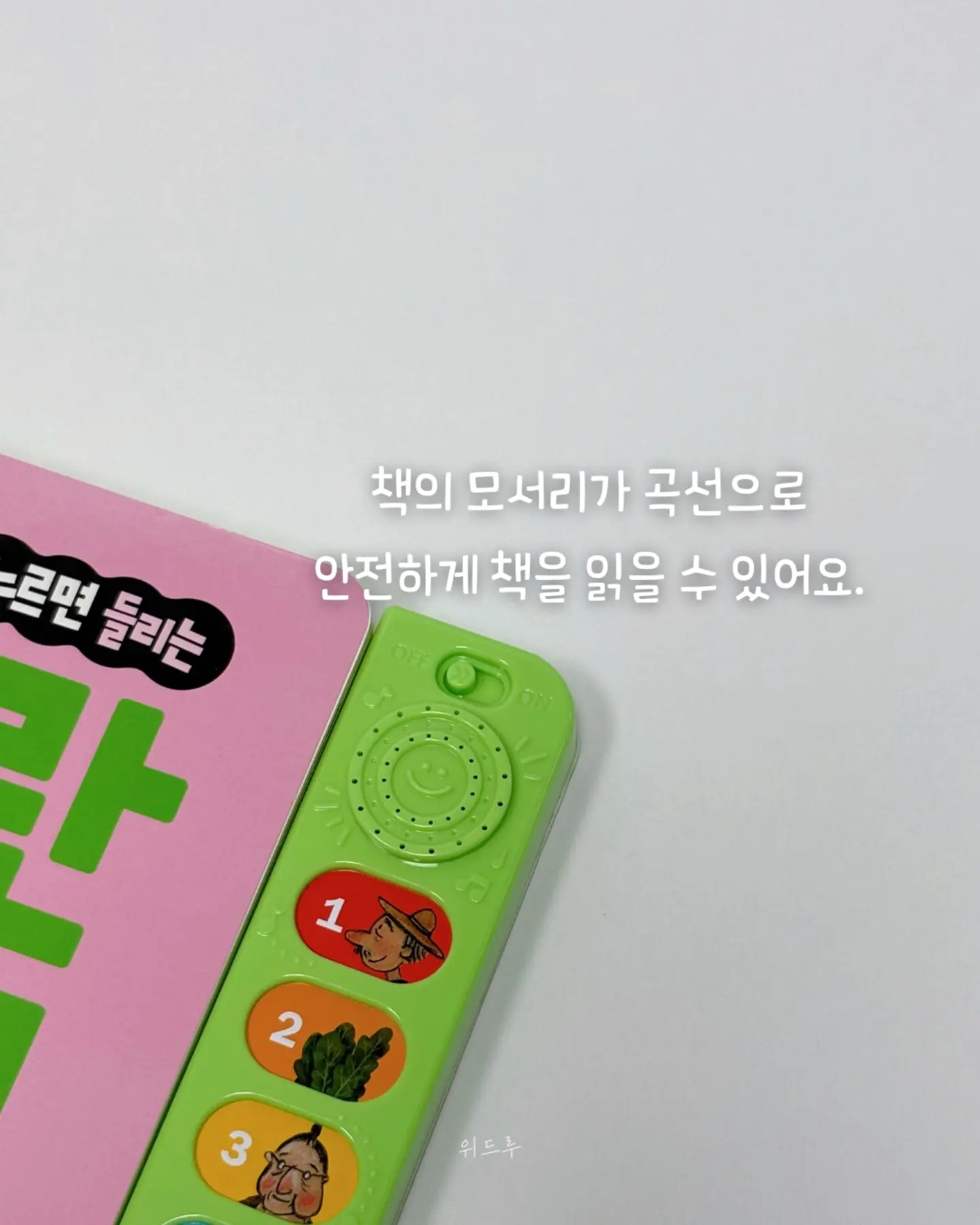 블루수국, 퀸로즈 8