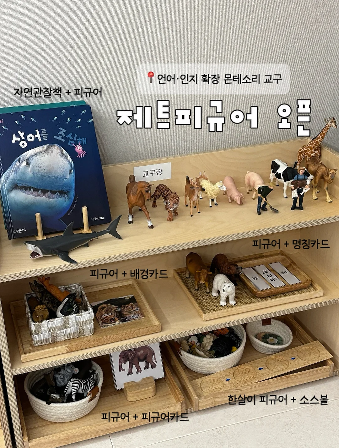 세계 국기 카드 1