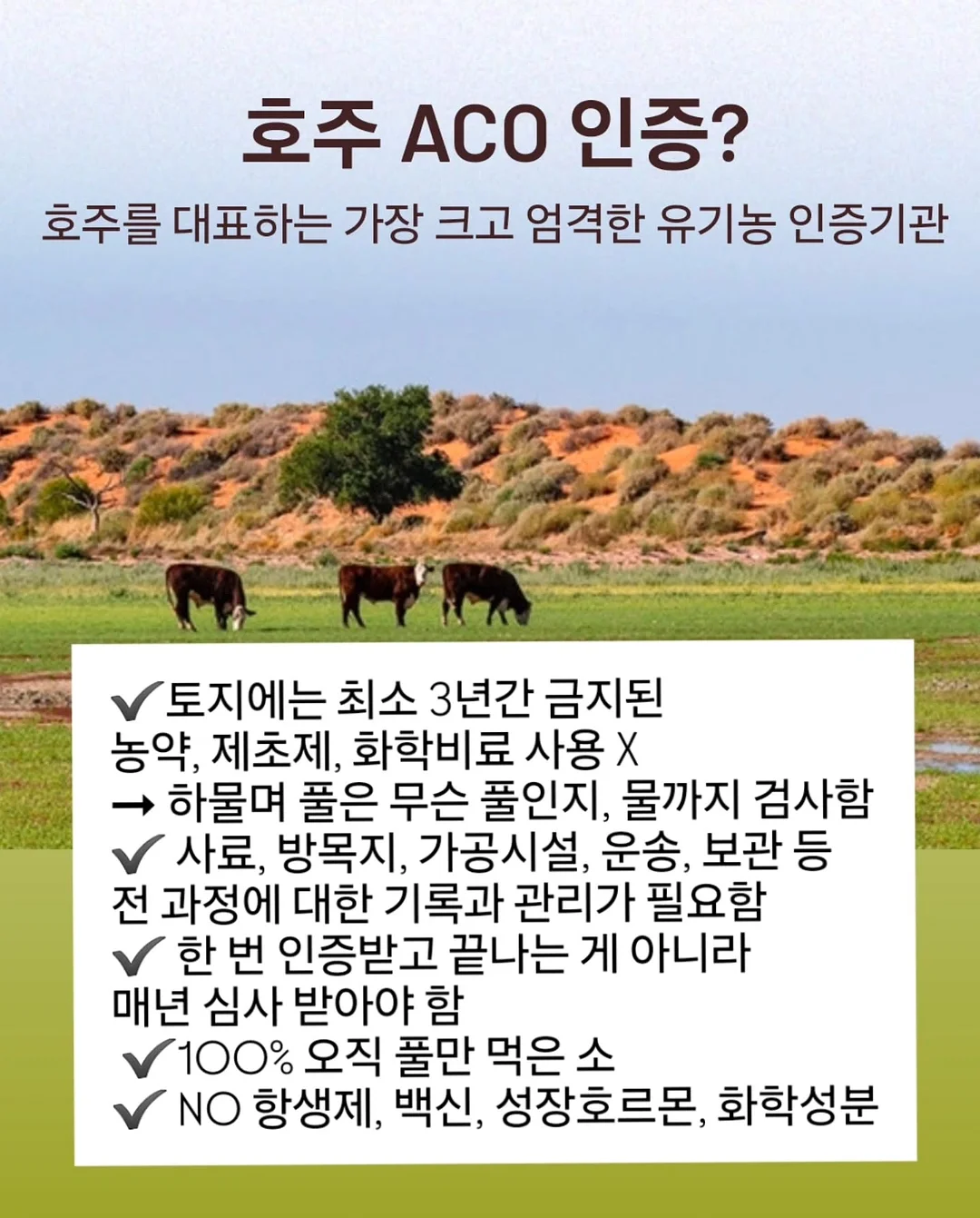 아디다스 팔뚝 로고 반팔 7