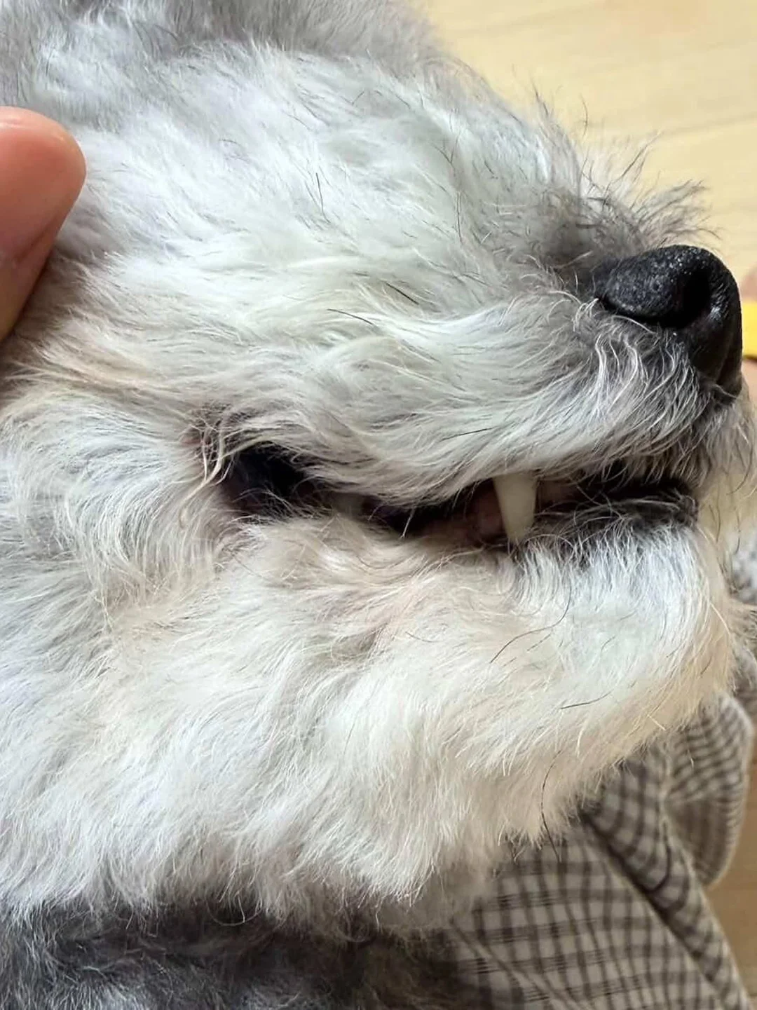 의류 3