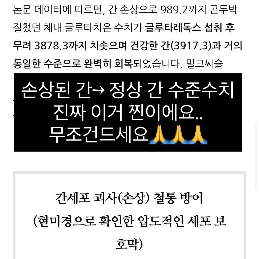 쉬가이아 나이아신골드™ 조각주사팩 3