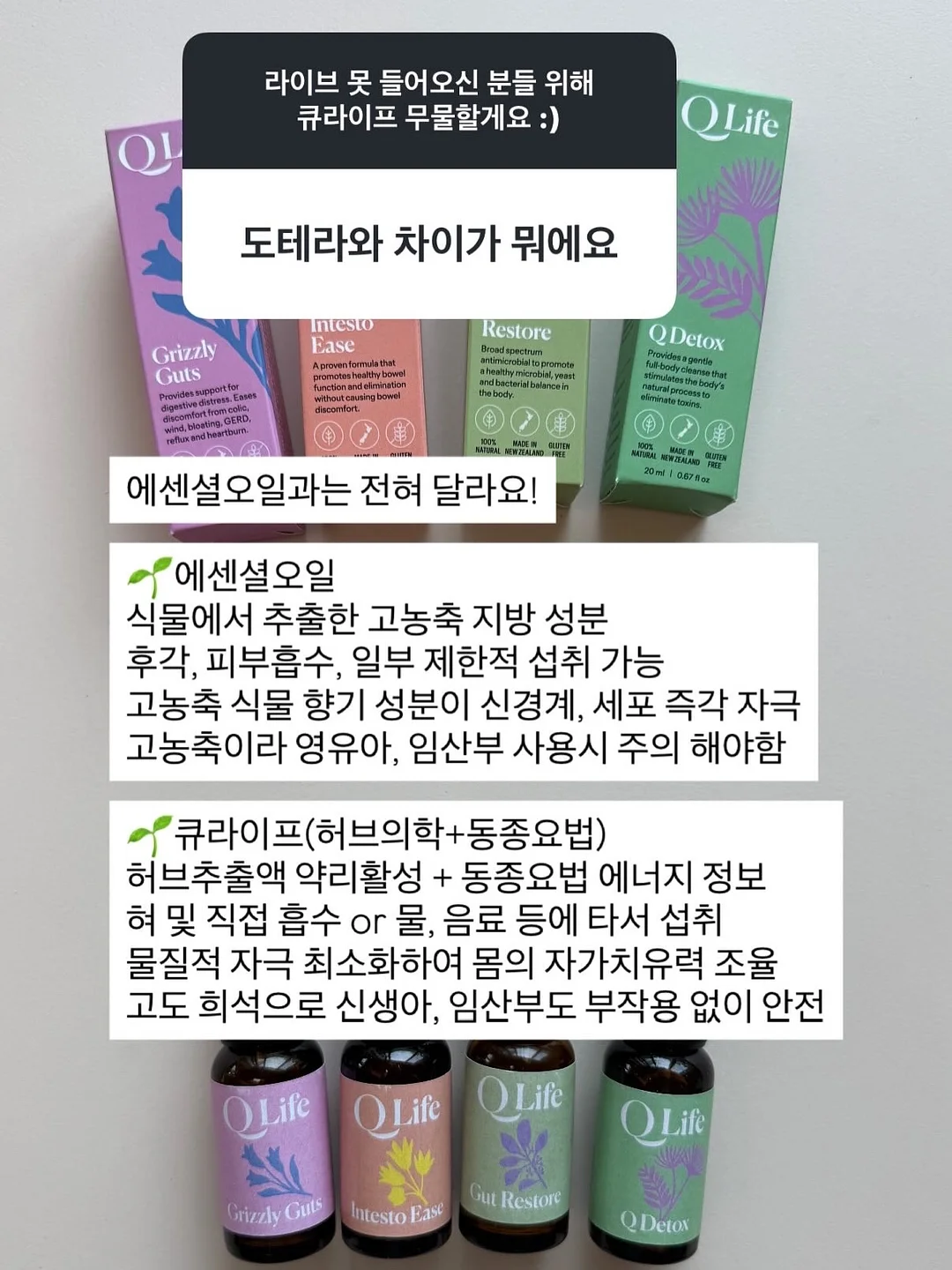 교복 니트 4