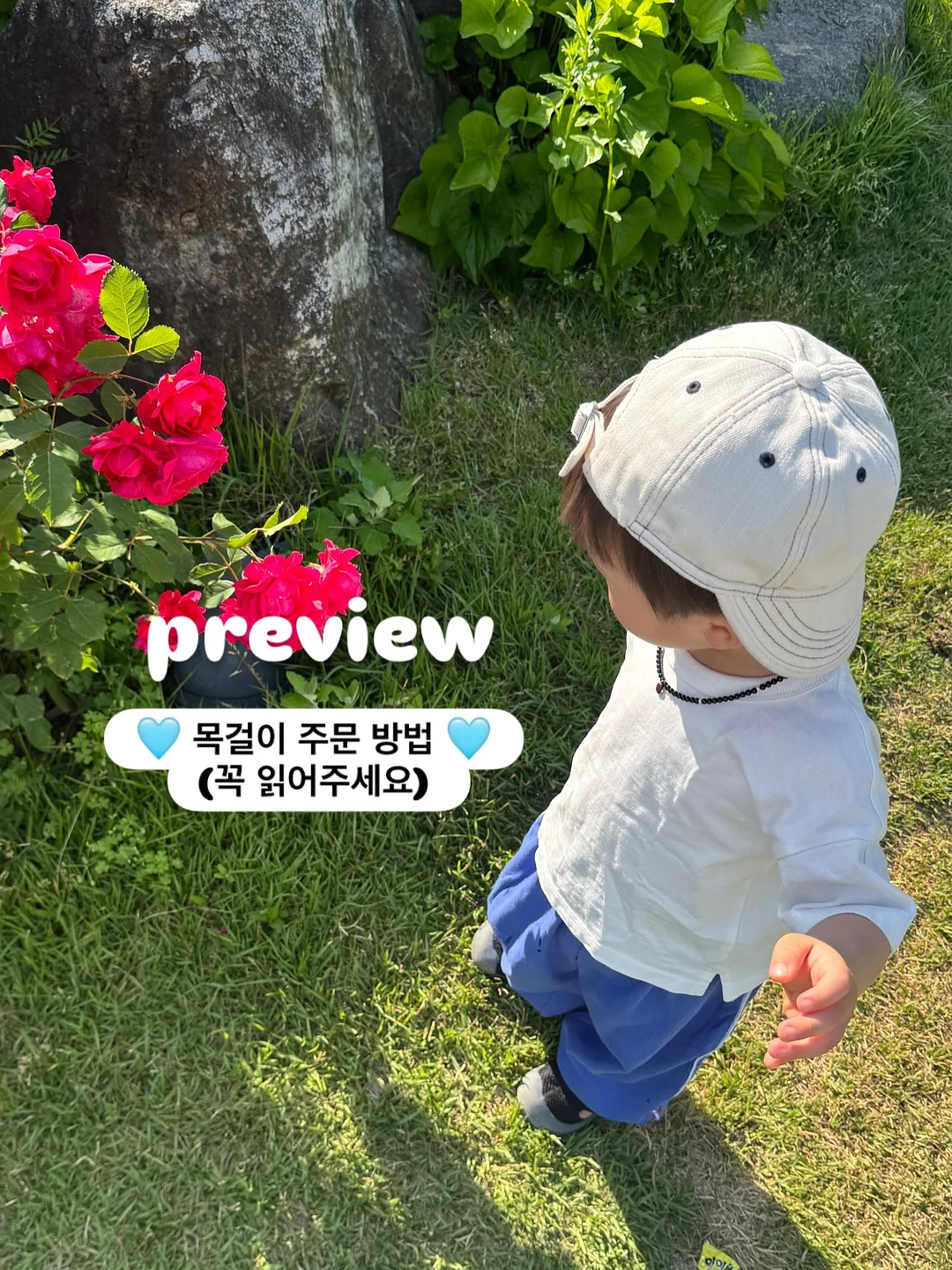 추피 패밀리 4종 세트 1