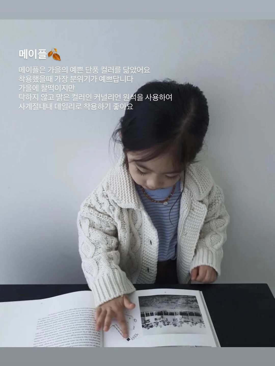 추피 패밀리 4종 세트 12