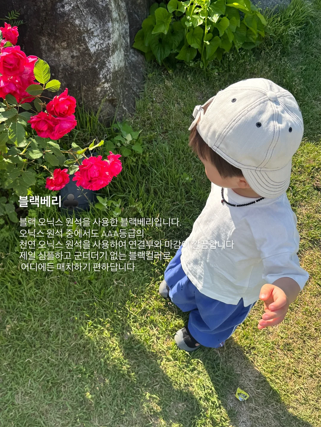 추피 패밀리 4종 세트 9