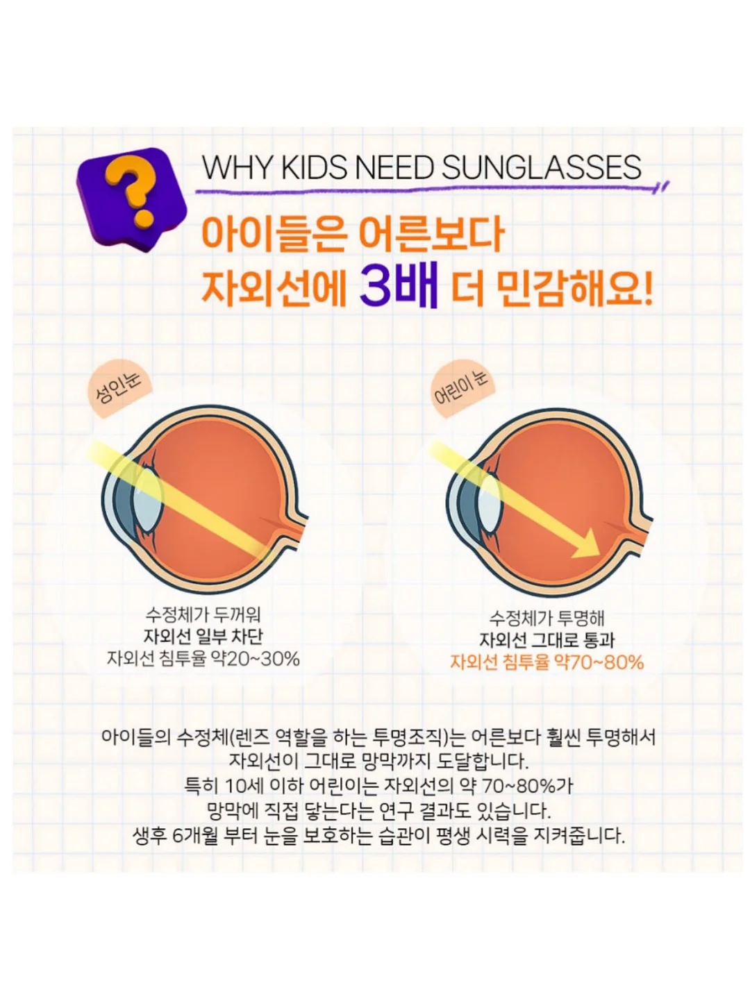 수채화 고무나무 6